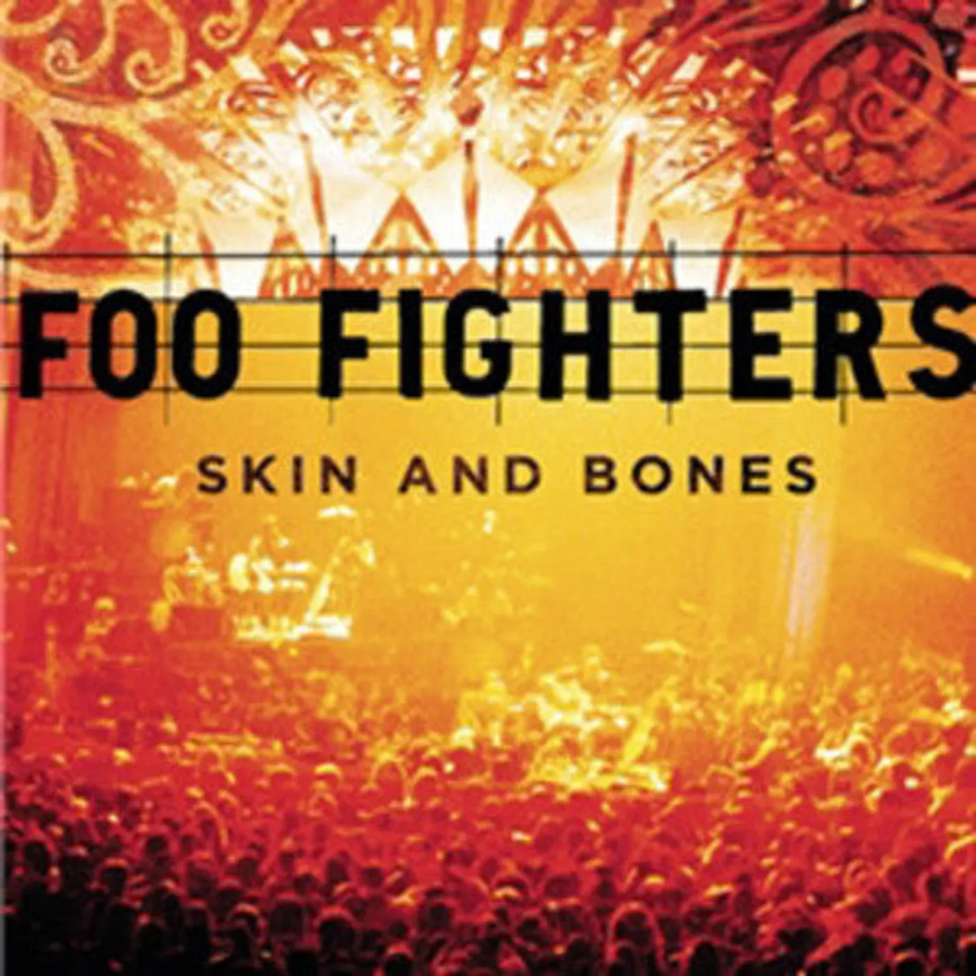 Foo Fighters LP Vinyl - Skin & Bones (Mpdl)