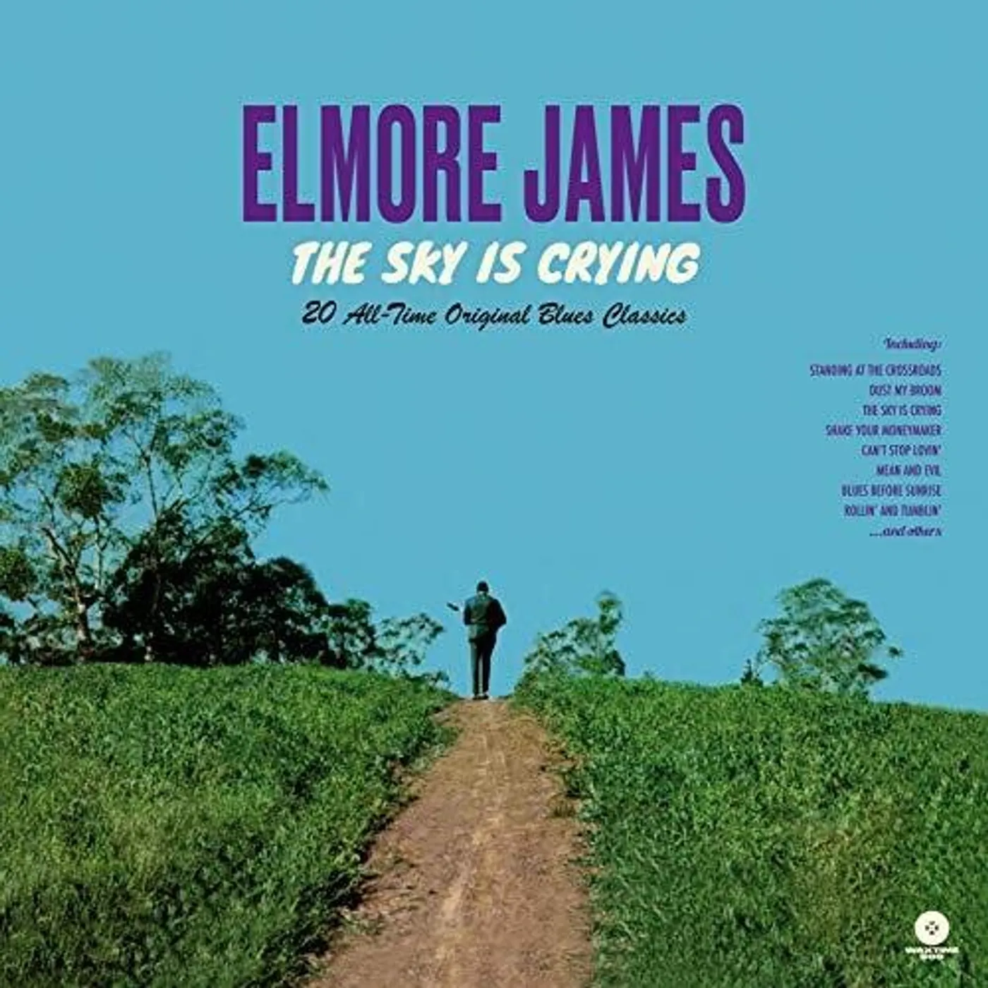 Elmore James LP Vinyl - Sky Is Crying: 20 All-Time Original Blues Classics