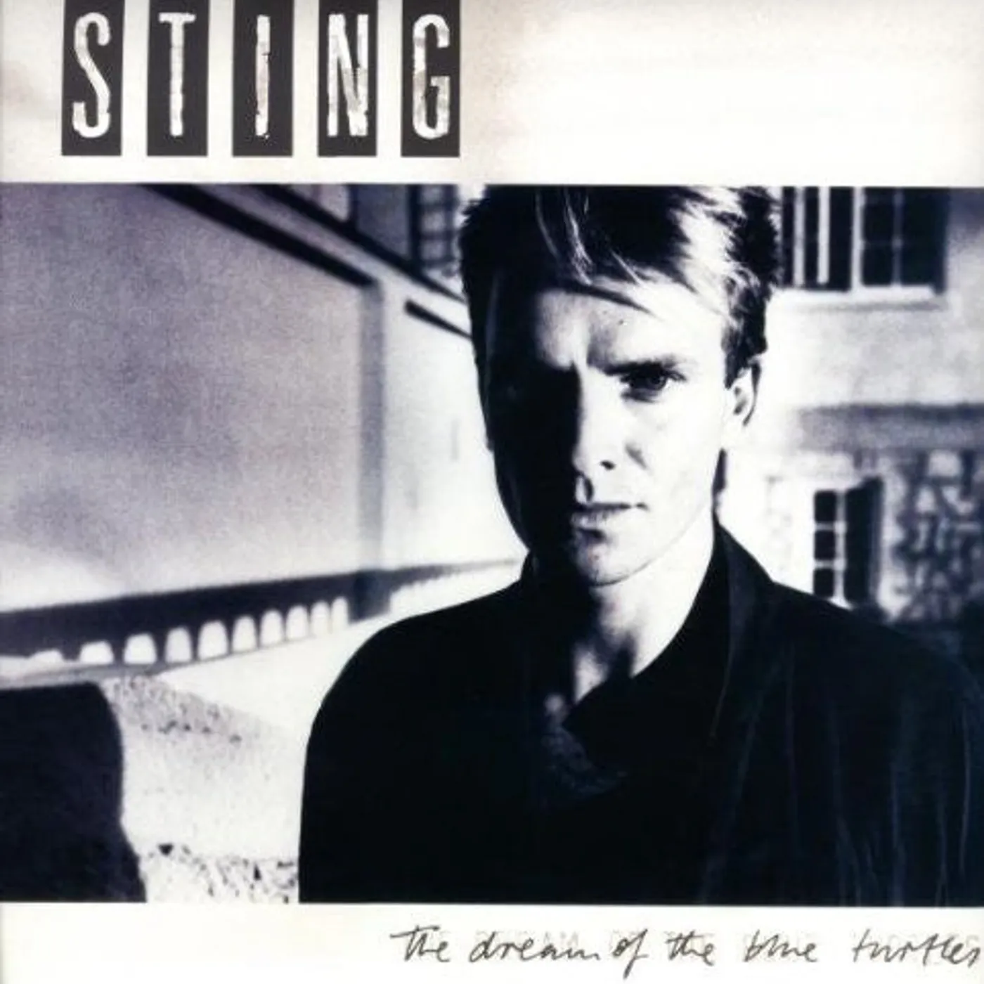 Sting LP Vinyl - Dream Of The Blue Turtles
