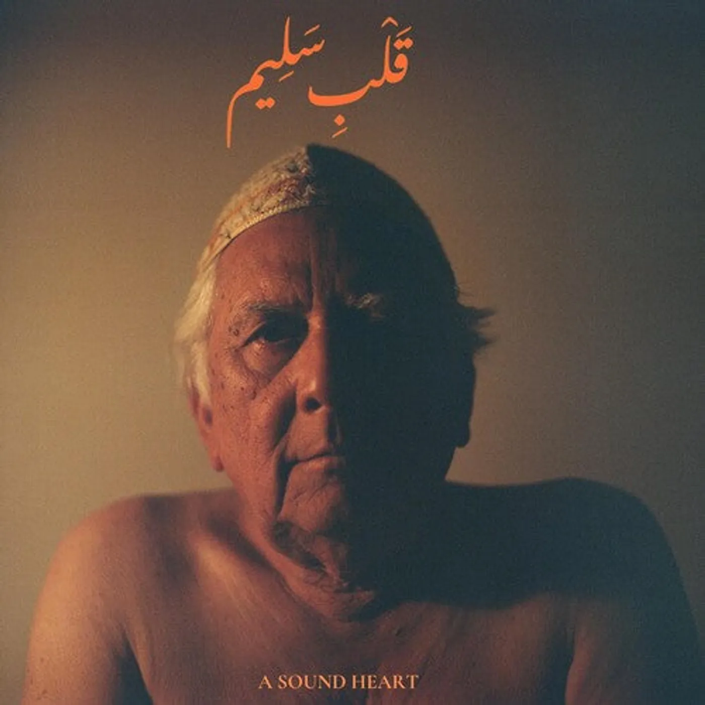 Jaubi LP Vinyl - Sound Heart