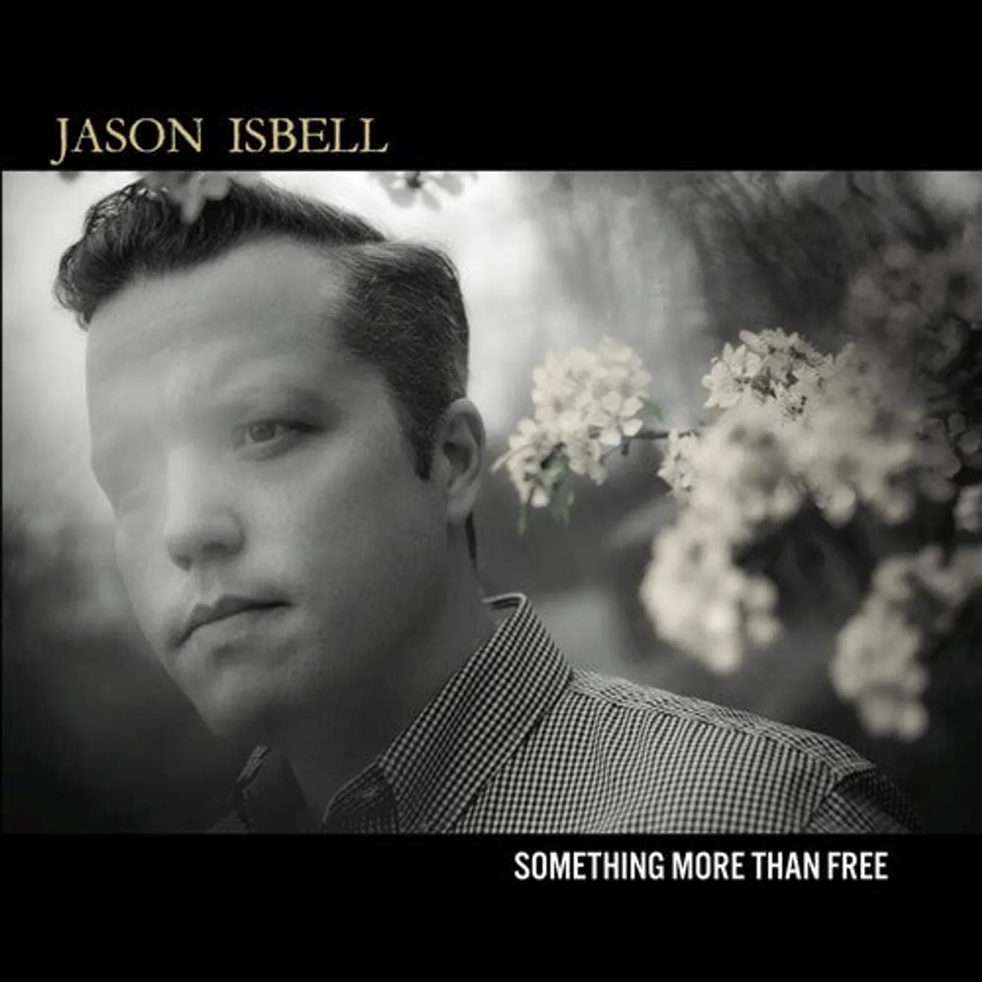 Jason Isbell LP Vinyl - Something More Than Free (Dlx) (Ogv) (Dlcd)