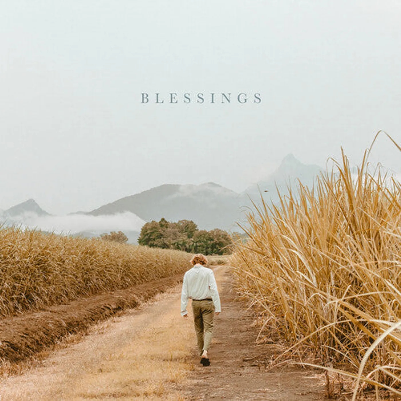 Hollow Coves LP Vinyl - Blessings (Colv) (Ofgv) (Org)