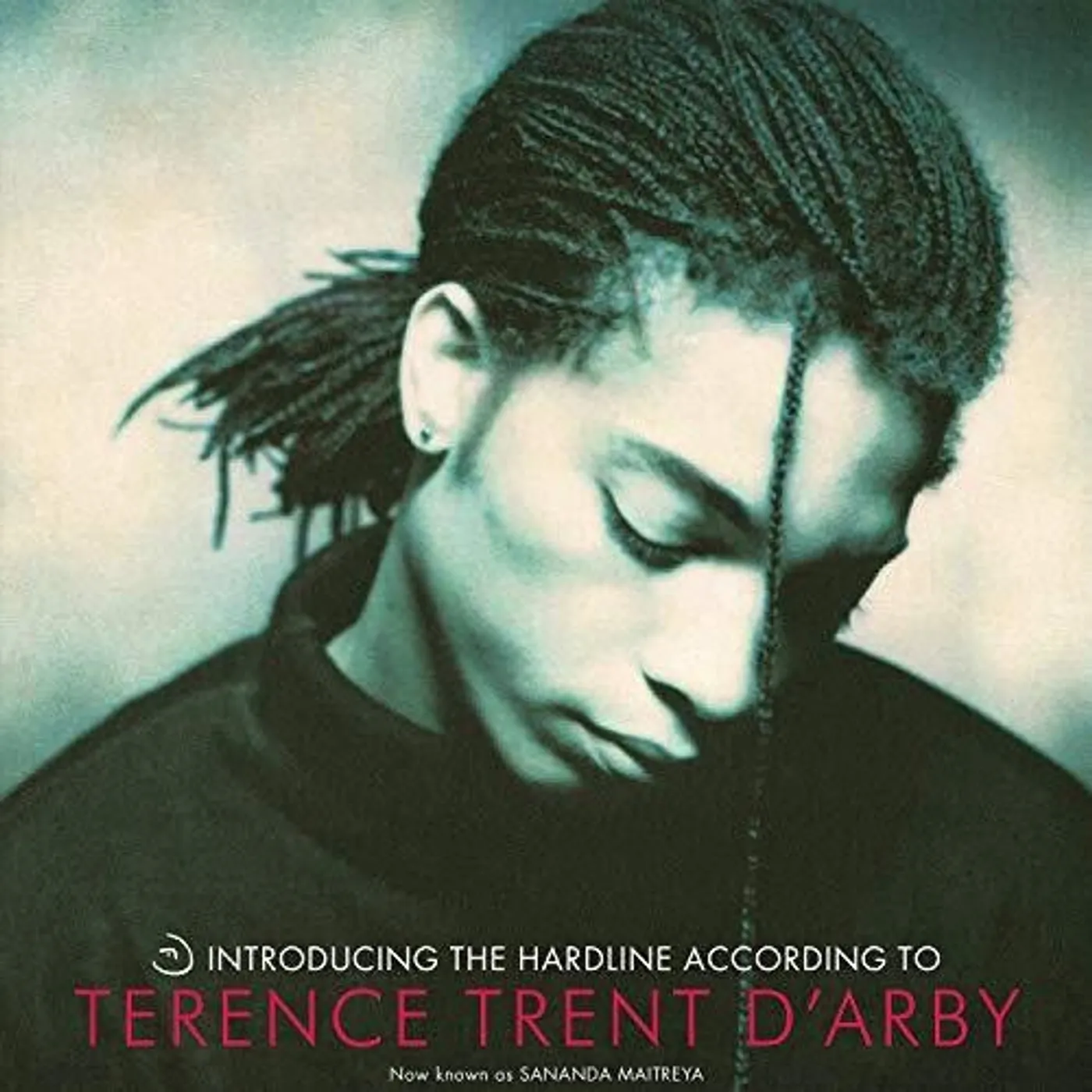 Karaoke - Terence Trent D'arby LP Vinyl - Introducing The Hardline According To Terence (Uk)