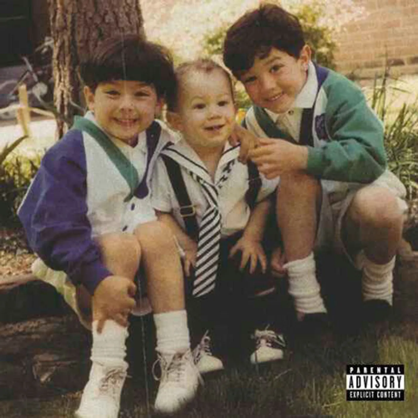 Jonas Brothers LP Vinyl - Family Business (Cvnl)