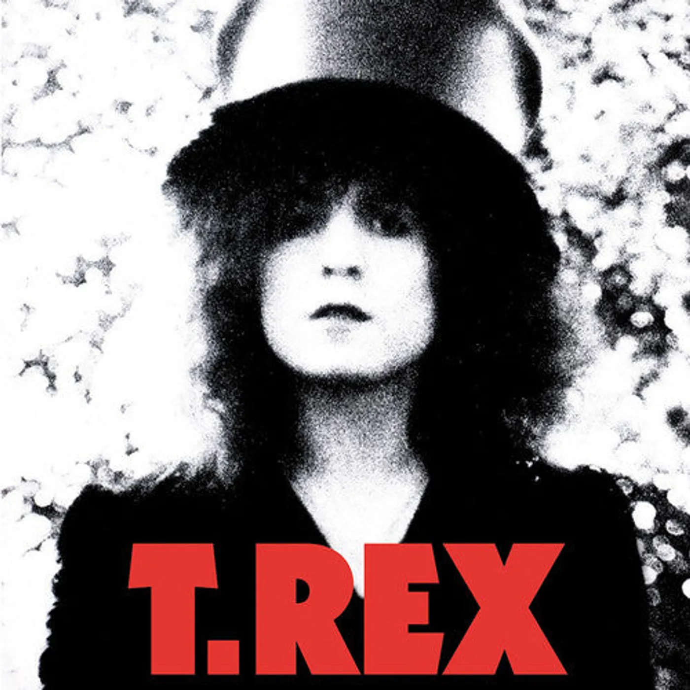 T. Rex LP Vinyl - Slider
