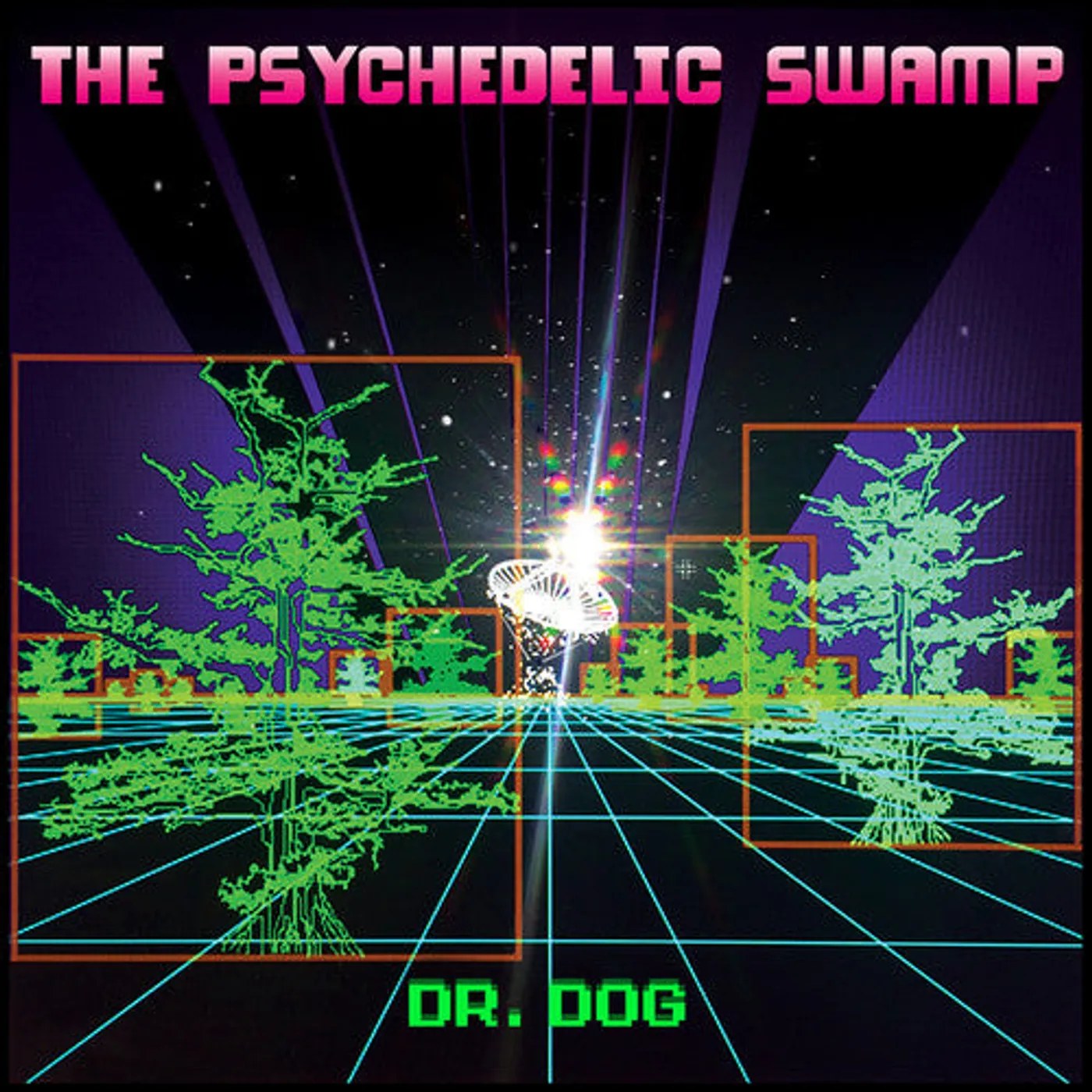 Dr. Dog LP Vinyl - Psychedelic Swamp (Dlcd)