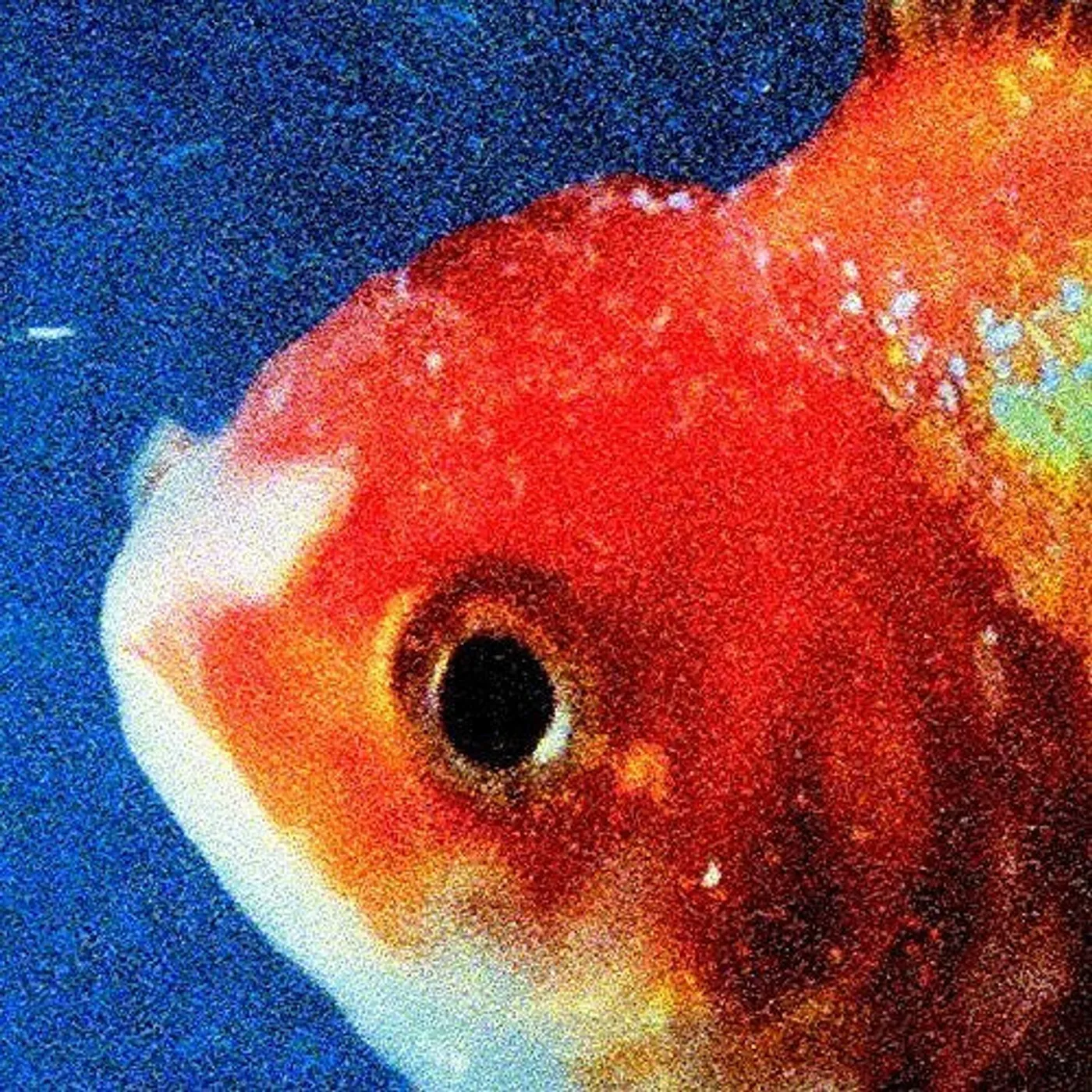Vince Staples LP Vinyl - Big Fish Theory (Uk)