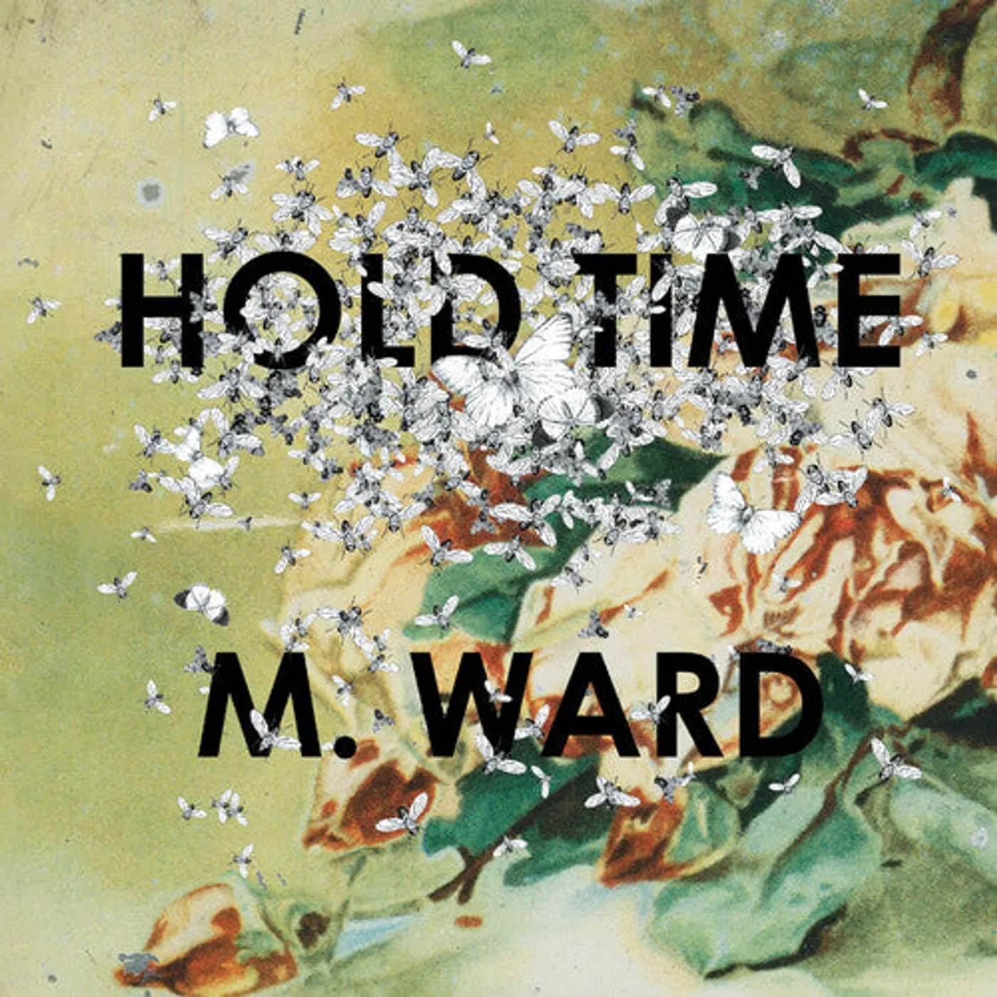 M. Ward LP Vinyl - Hold Time (Ogv)