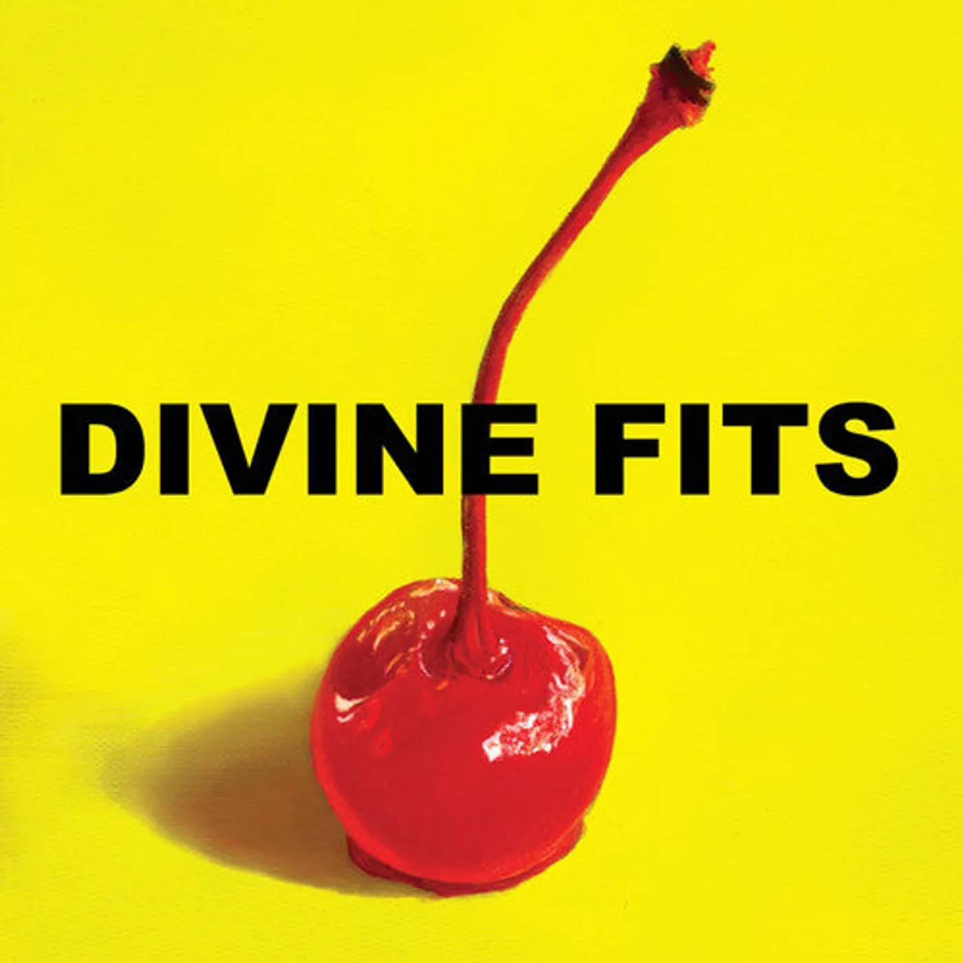 Divine Fits LP Vinyl - A Thing Called Divine Fits