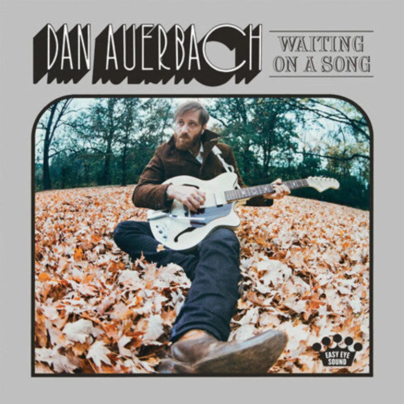 Dan Auerbach LP Vinyl - Waiting On A Song