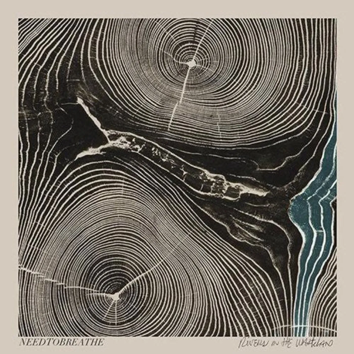 Needtobreathe LP Vinyl - Rivers In The Wasteland (Dlcd)