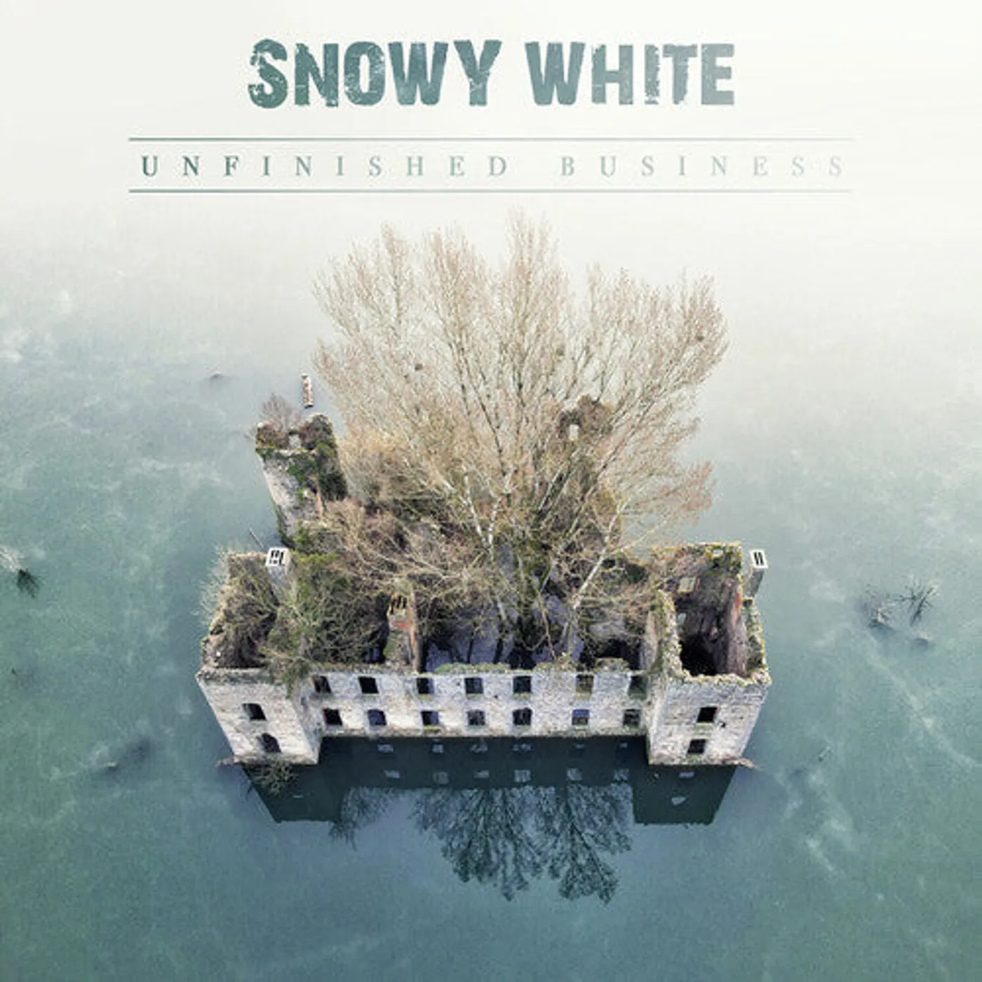 Snowy White LP Vinyl - Unfinished Business