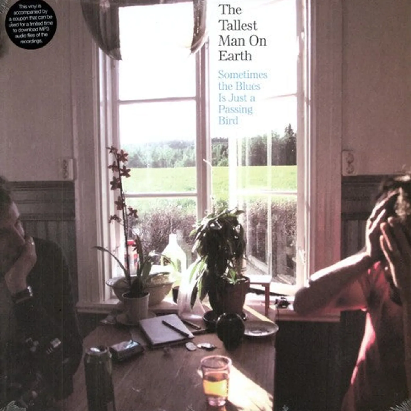 The Tallest Man On Earth LP Vinyl - Sometimes The Blues Is Just A Passing Bird (Ep)