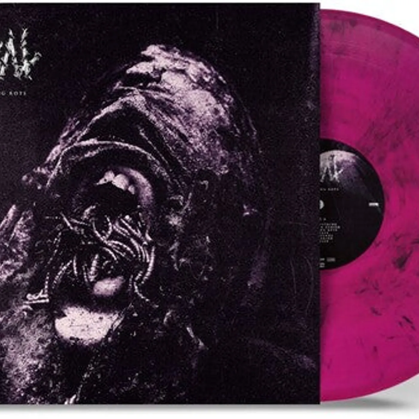 Cabal LP Vinyl - Everything Rots - Trans Violet Black Marble (Blk)