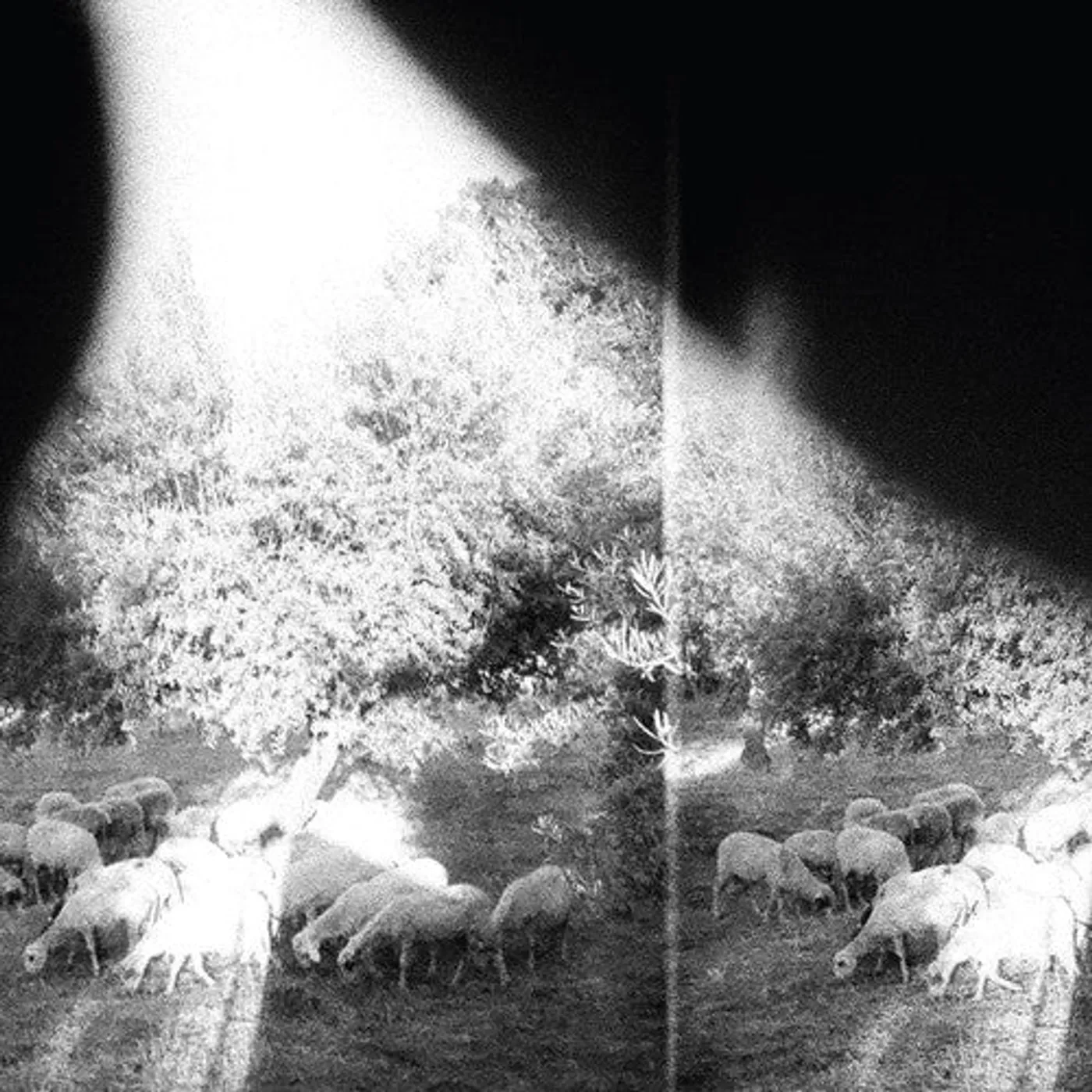 Godspeed You! Black Emperor LP Vinyl - Asunder Sweet & Other Distress (Ogv) (Dlcd)