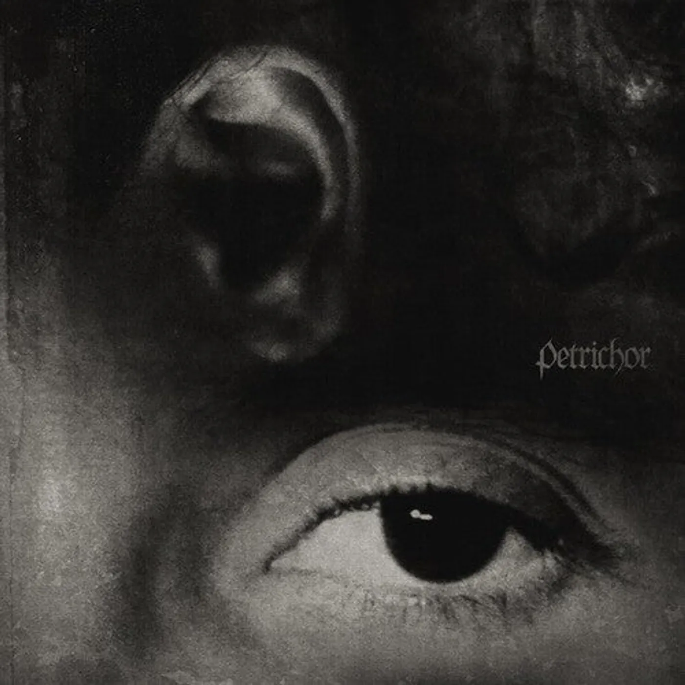 070 Shake LP Vinyl - Petrichor