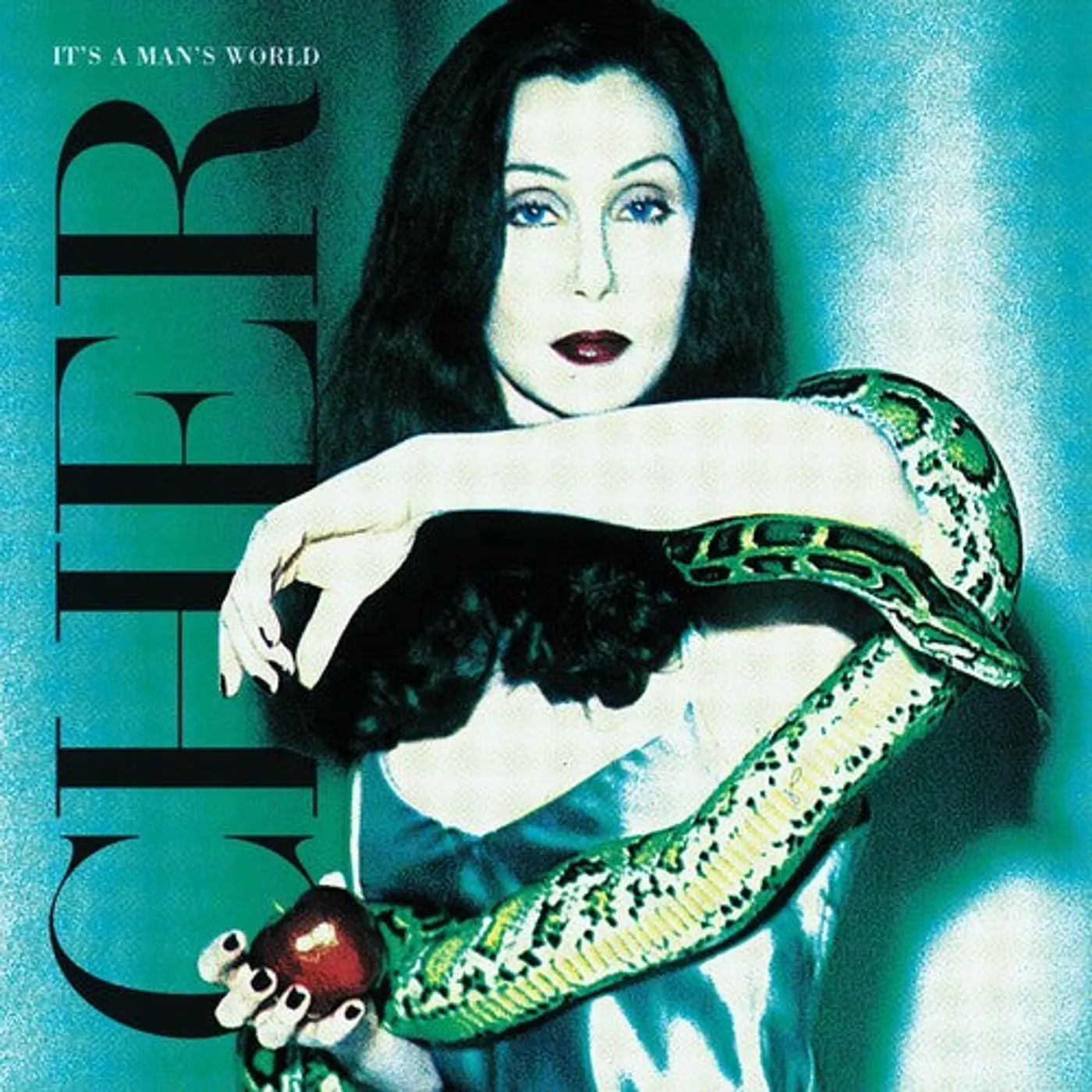 Cher LP Vinyl - Cher / It'S A Man'S World (2023)