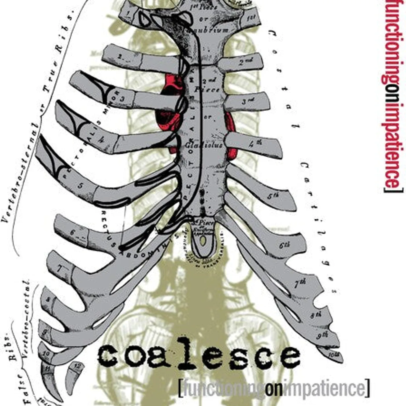 Coalesce LP Vinyl - Functioning On Impatience (Colv) (Wht) (Spla)