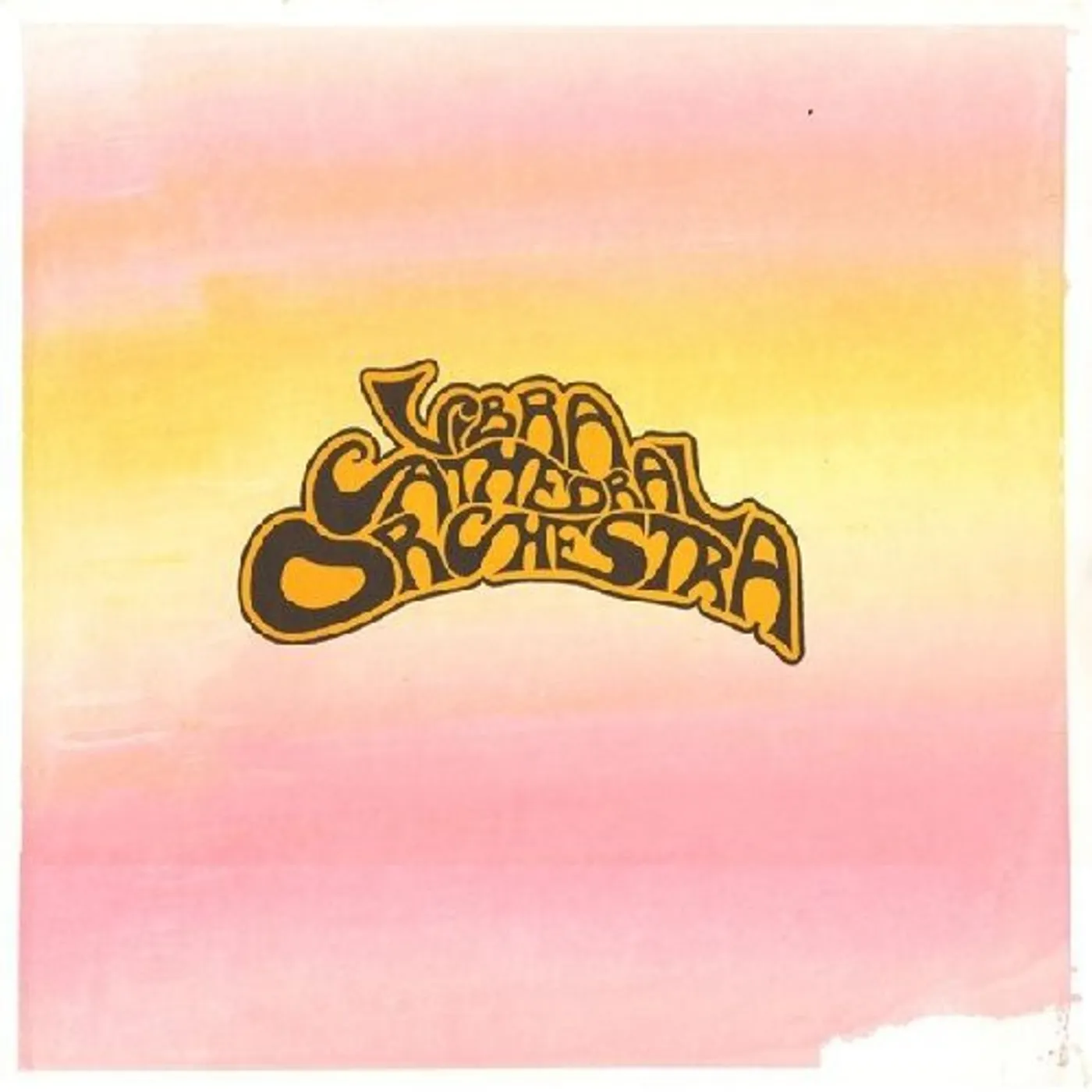 Vibracathedral Orchestra LP Vinyl - Vibracathedral Orchestra (W/Dvd) (Reis)