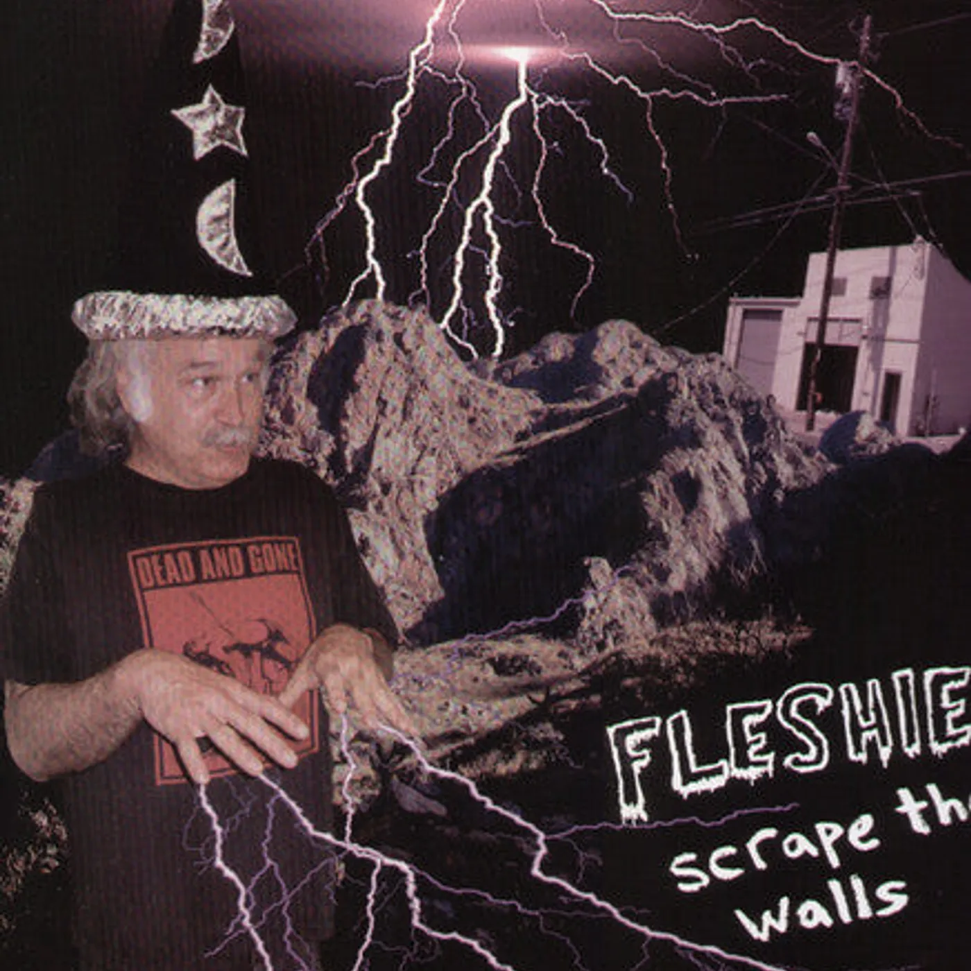 Fleshies LP Vinyl - Scrape The Walls