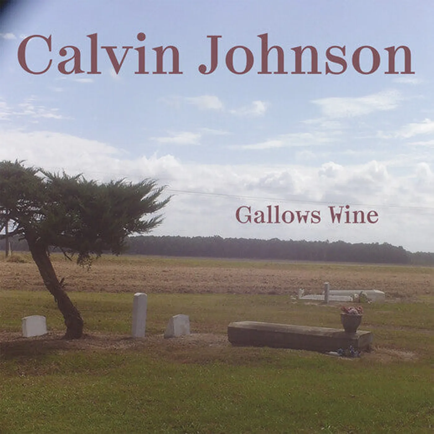 Calvin Johnson LP Vinyl - Gallows Wine