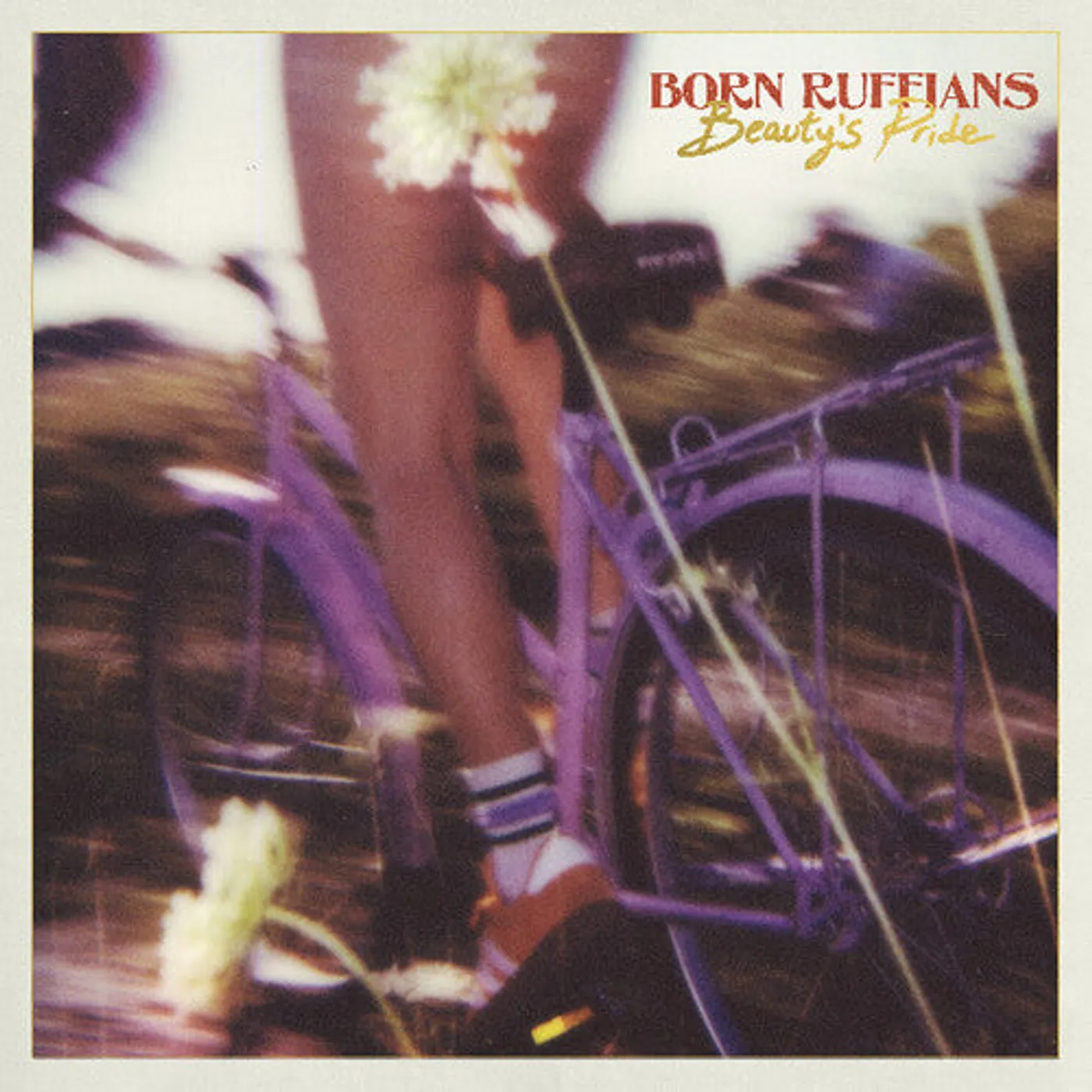 Born Ruffians LP Vinyl - Beauty'S Pride (Coloured Vinyl) (Purp)