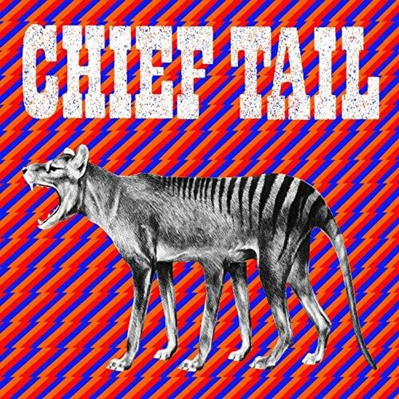 Chief Tail LP Vinyl - Chief Tail