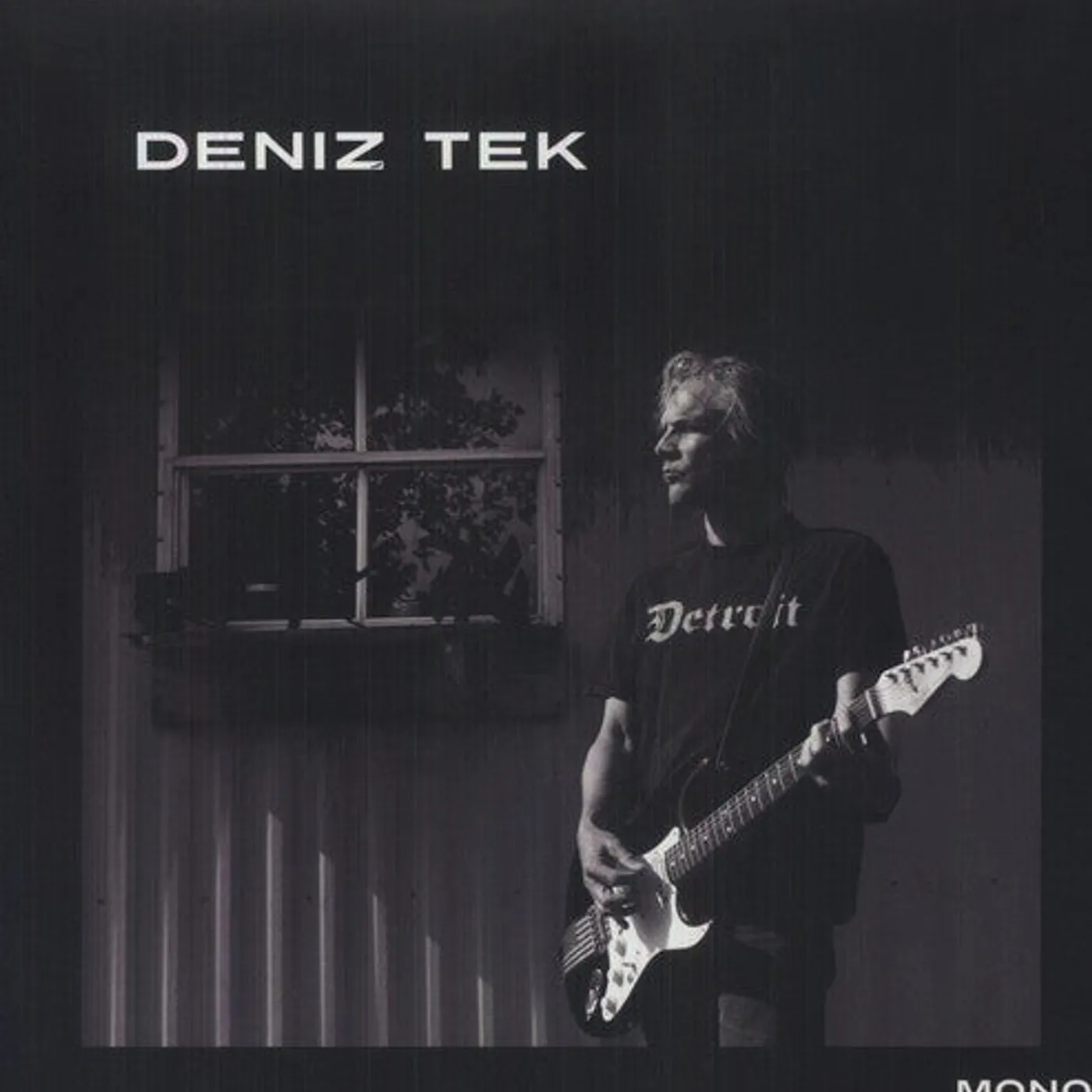 Deniz Tek LP Vinyl - Detroit (Reis)