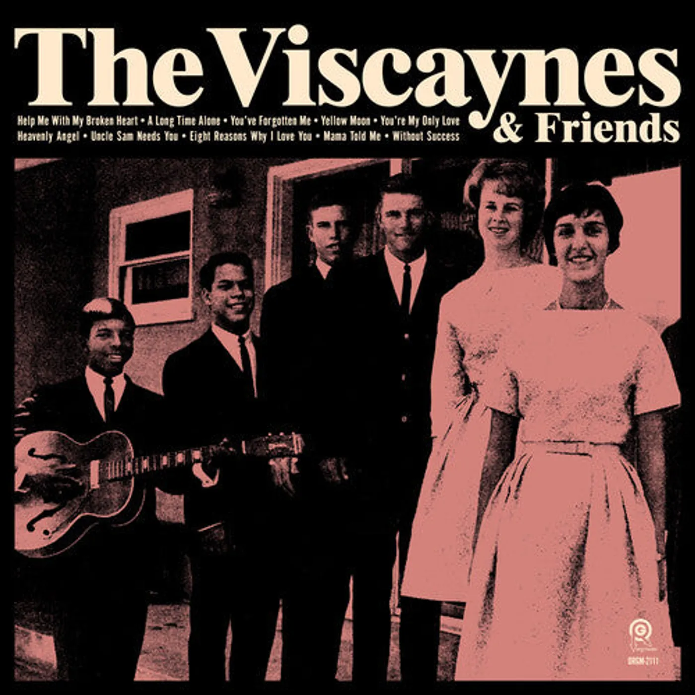 The Viscaynes LP Vinyl - Viscaynes & Friends (Gate Fold)