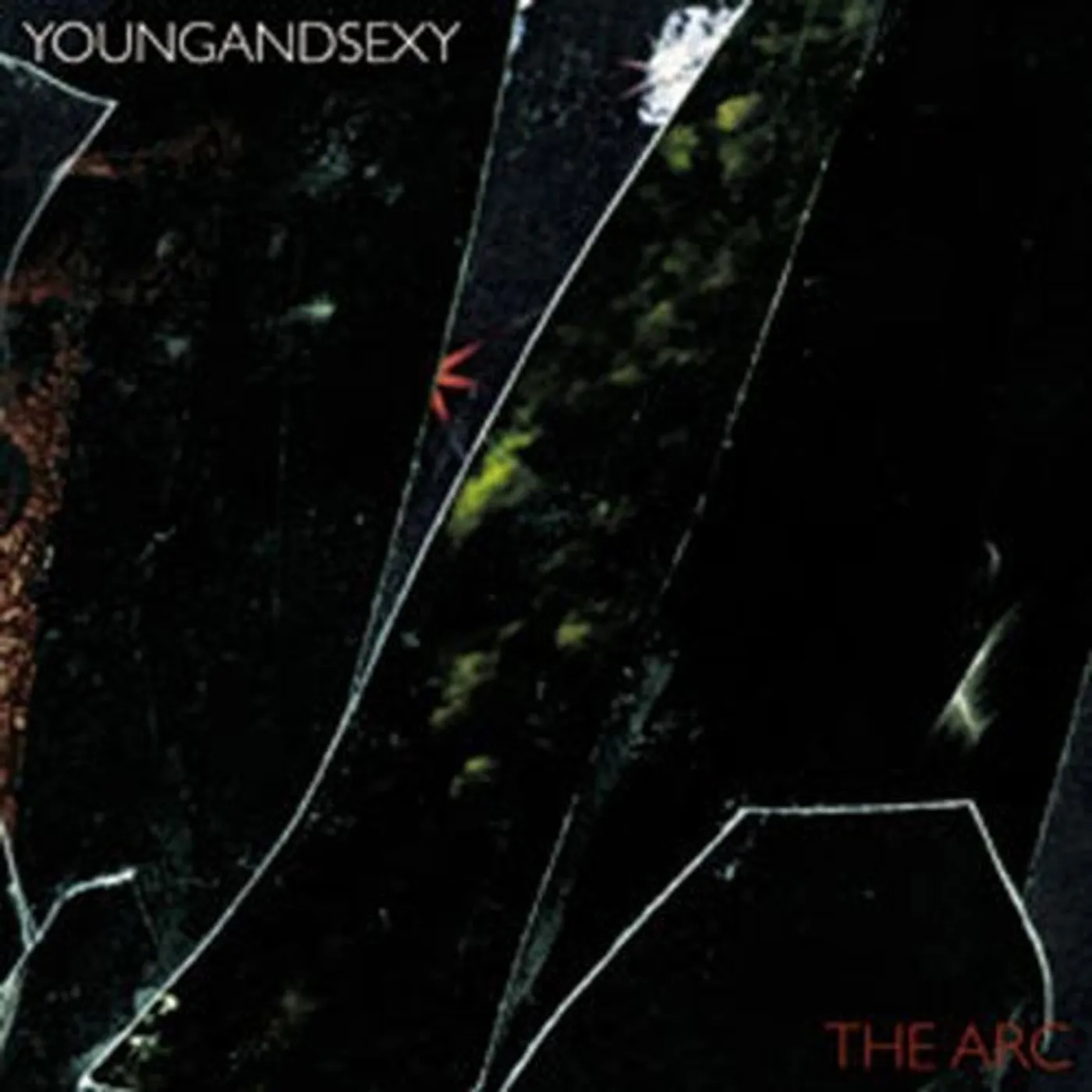 Young and Sexy LP Vinyl - Arc