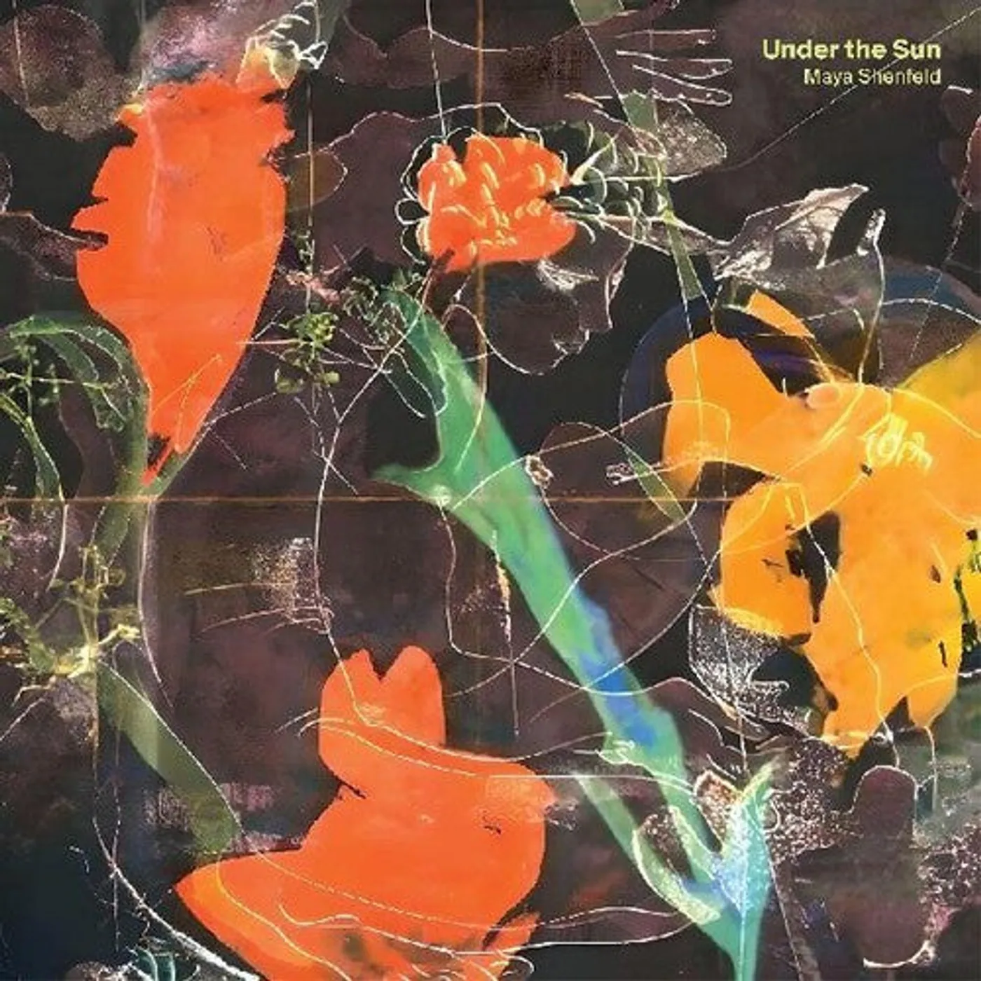 Maya Shenfeld LP Vinyl - Under The Sun (Dlcd)