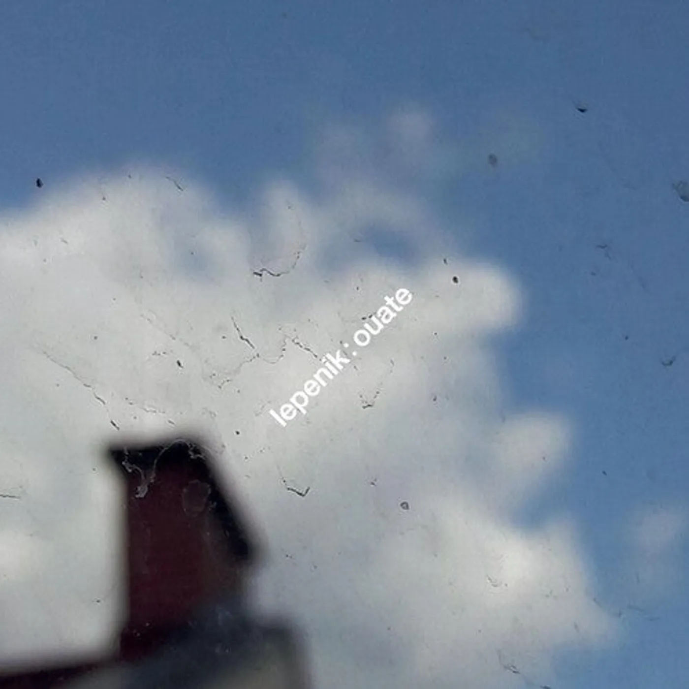 Lepenik LP Vinyl - Ouate