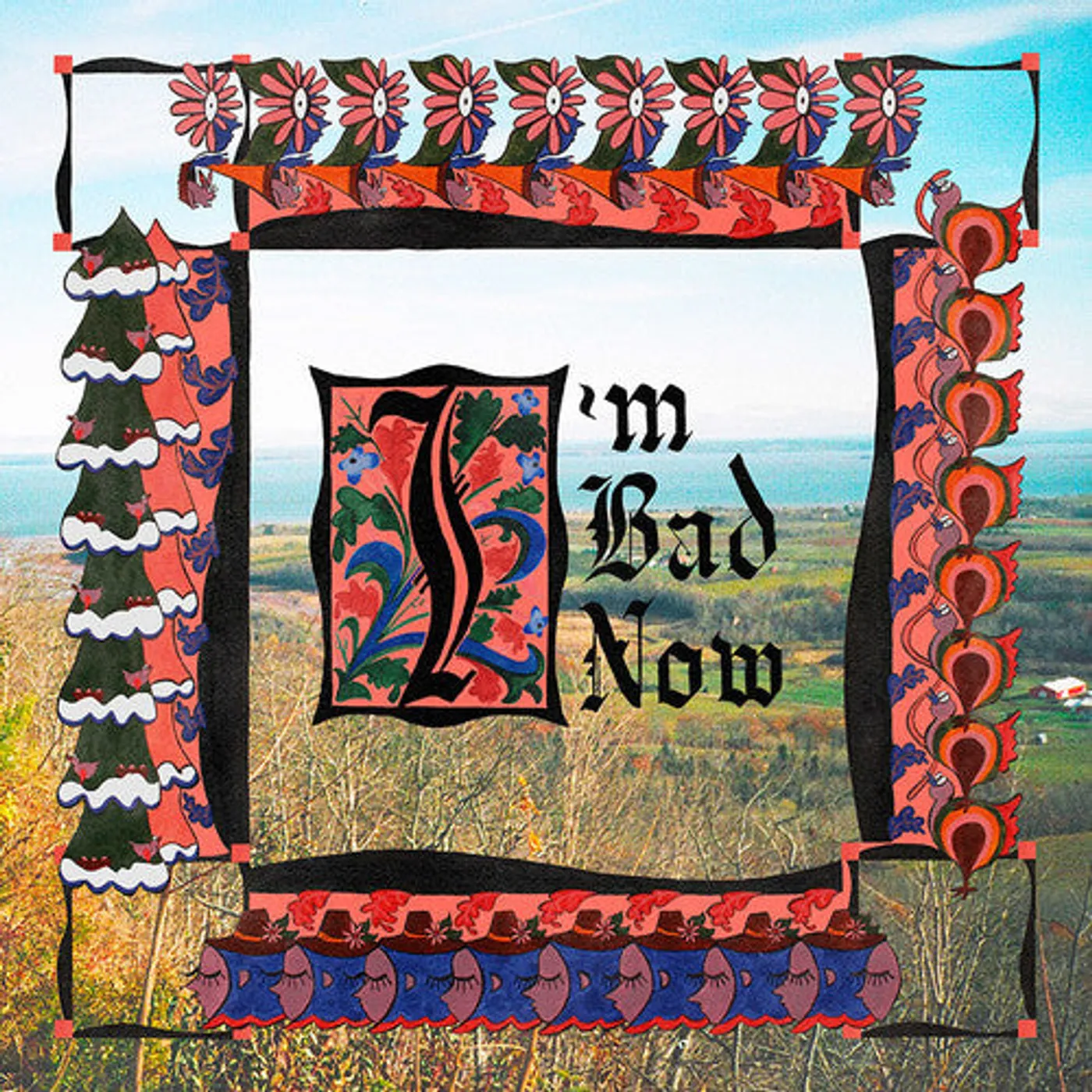 Nap Eyes LP Vinyl - I'M Bad Now