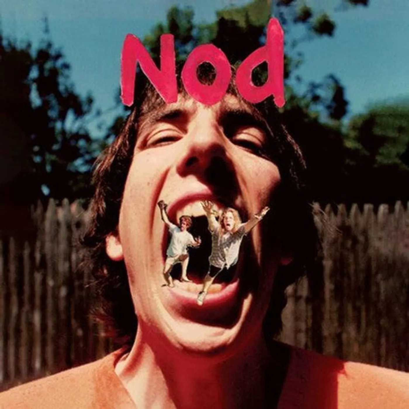 The Nod LP Vinyl - Nod