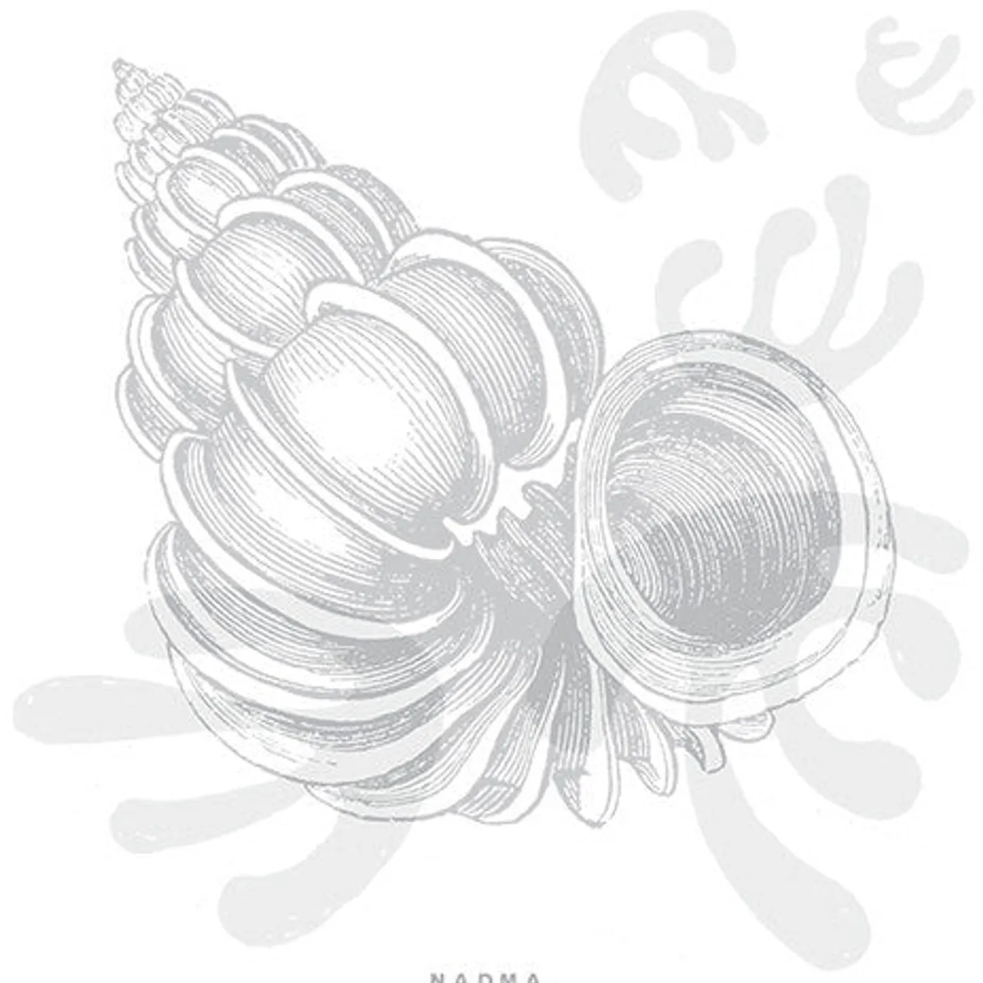 N.A.D.M.A. LP Vinyl - Uno Zingaro Di Atlante Con Un Fiore A New York