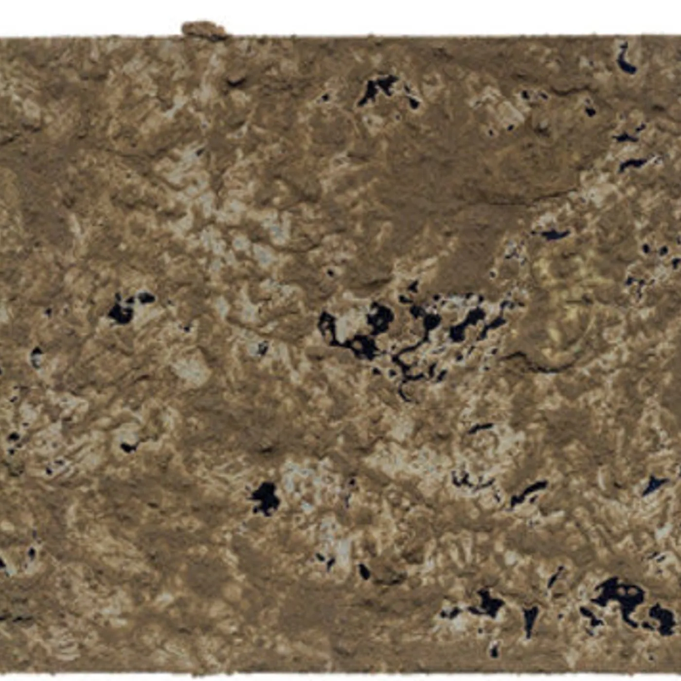 Thomas Müller LP Vinyl - Not A Bird / Transcarnation One