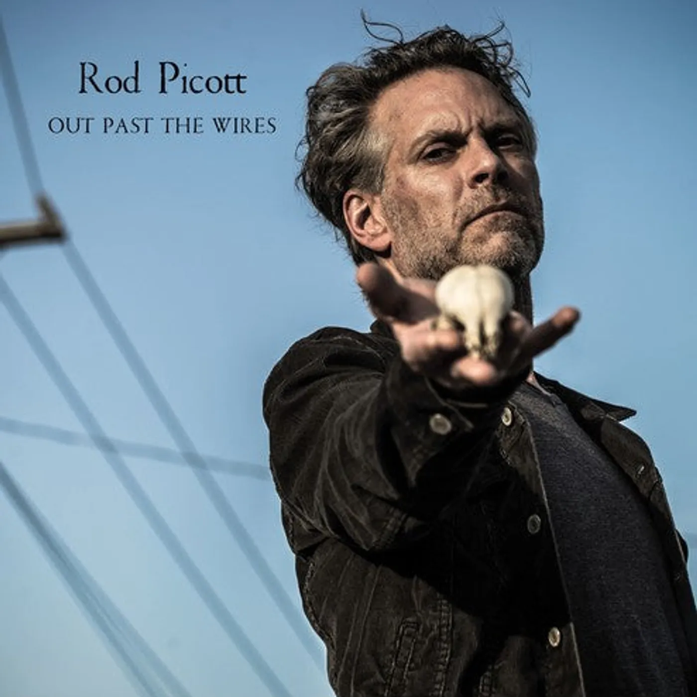 Rod Picott LP Vinyl - Out Past The Wires (Gate Fold)