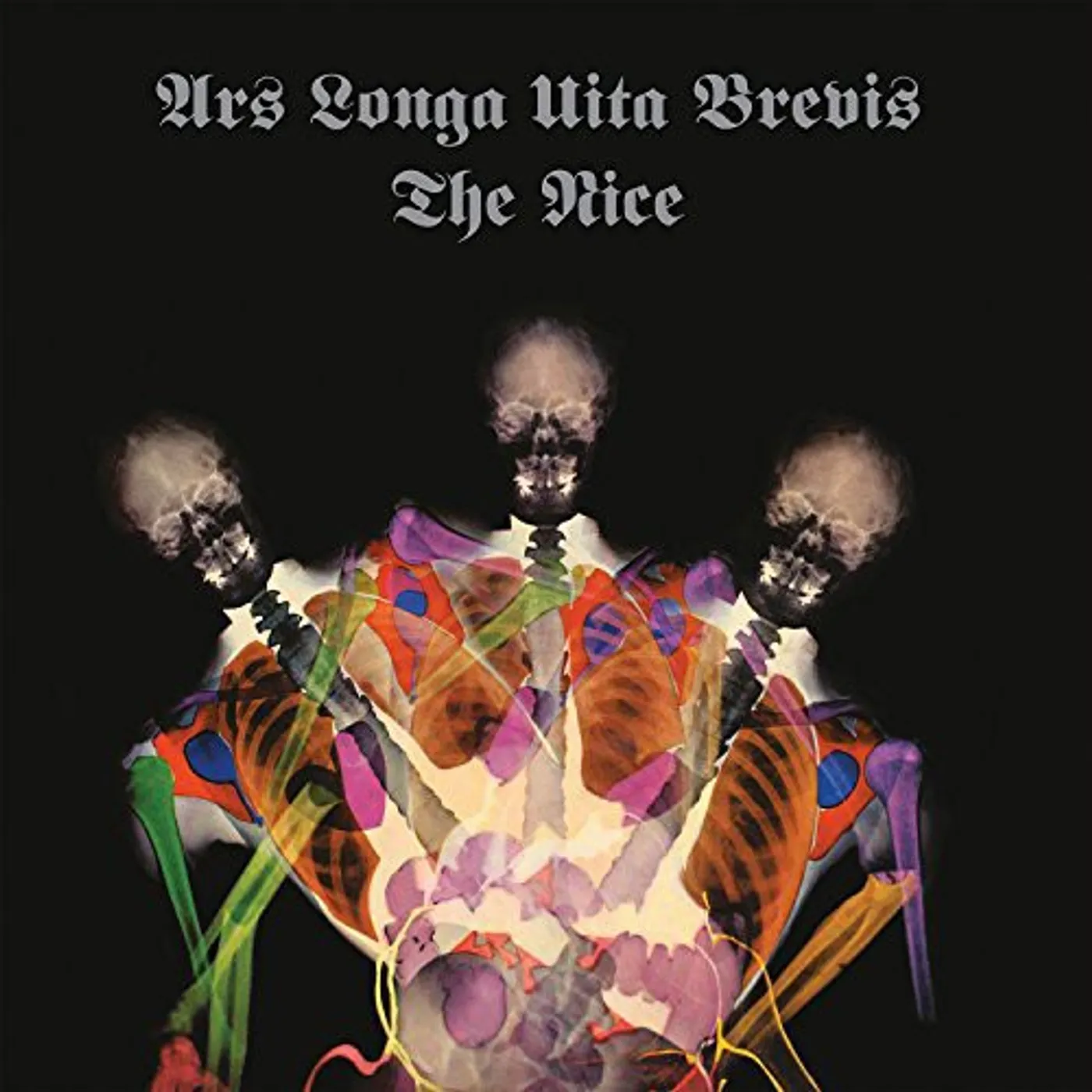Nice LP Vinyl - Ara Longa Vita Brevis (Ltd)