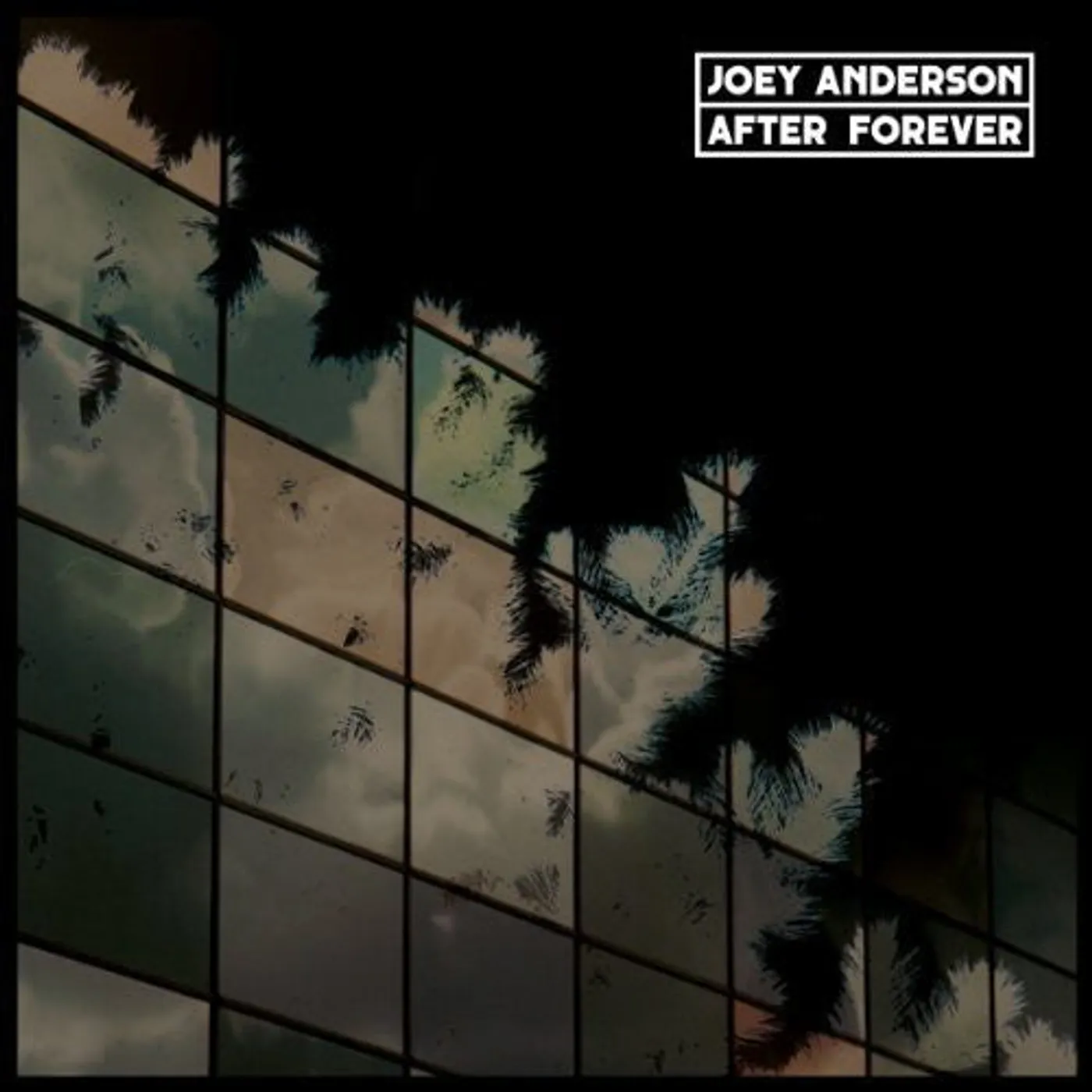 Joey Anderson LP Vinyl - After Forever