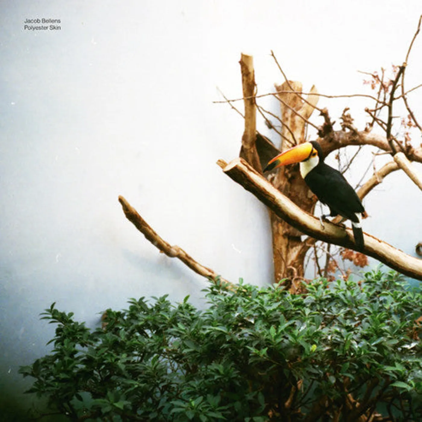 Jacob Bellens LP Vinyl - Polyester Skin
