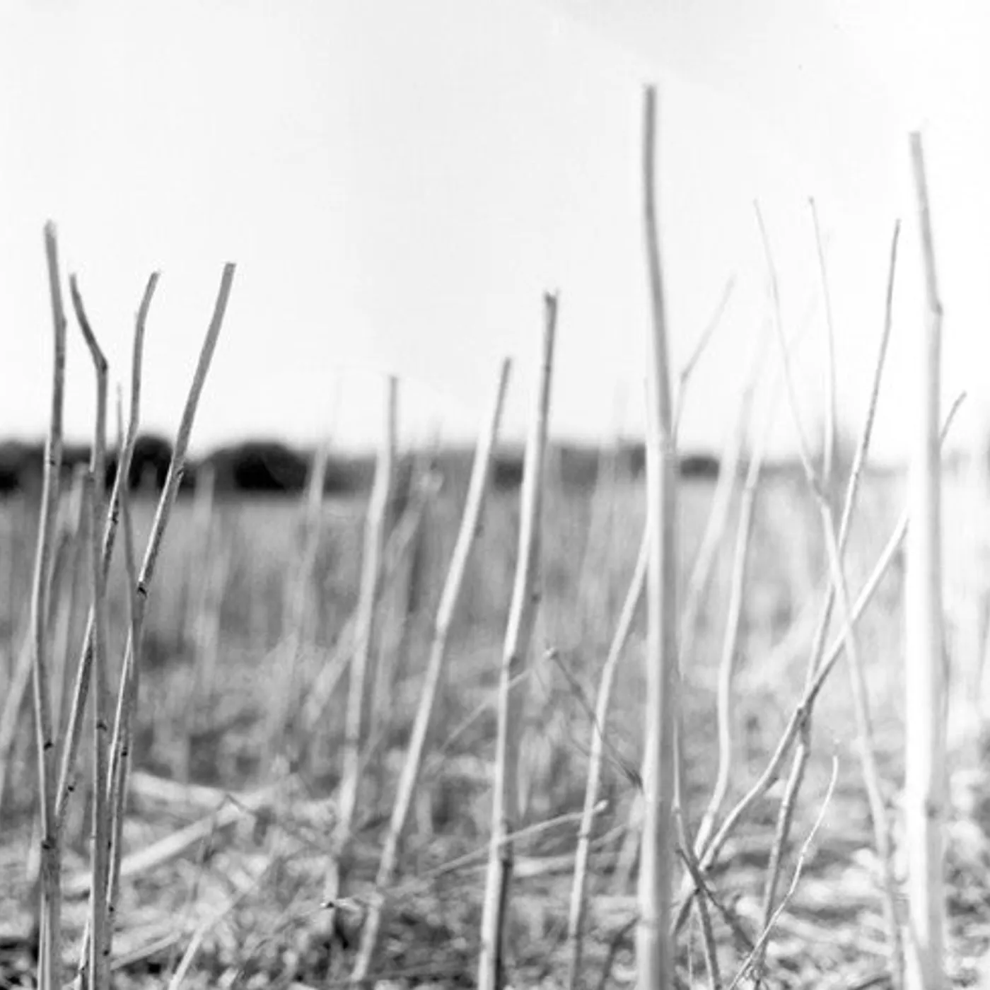 Recondite LP Vinyl - On Acid (Reis)