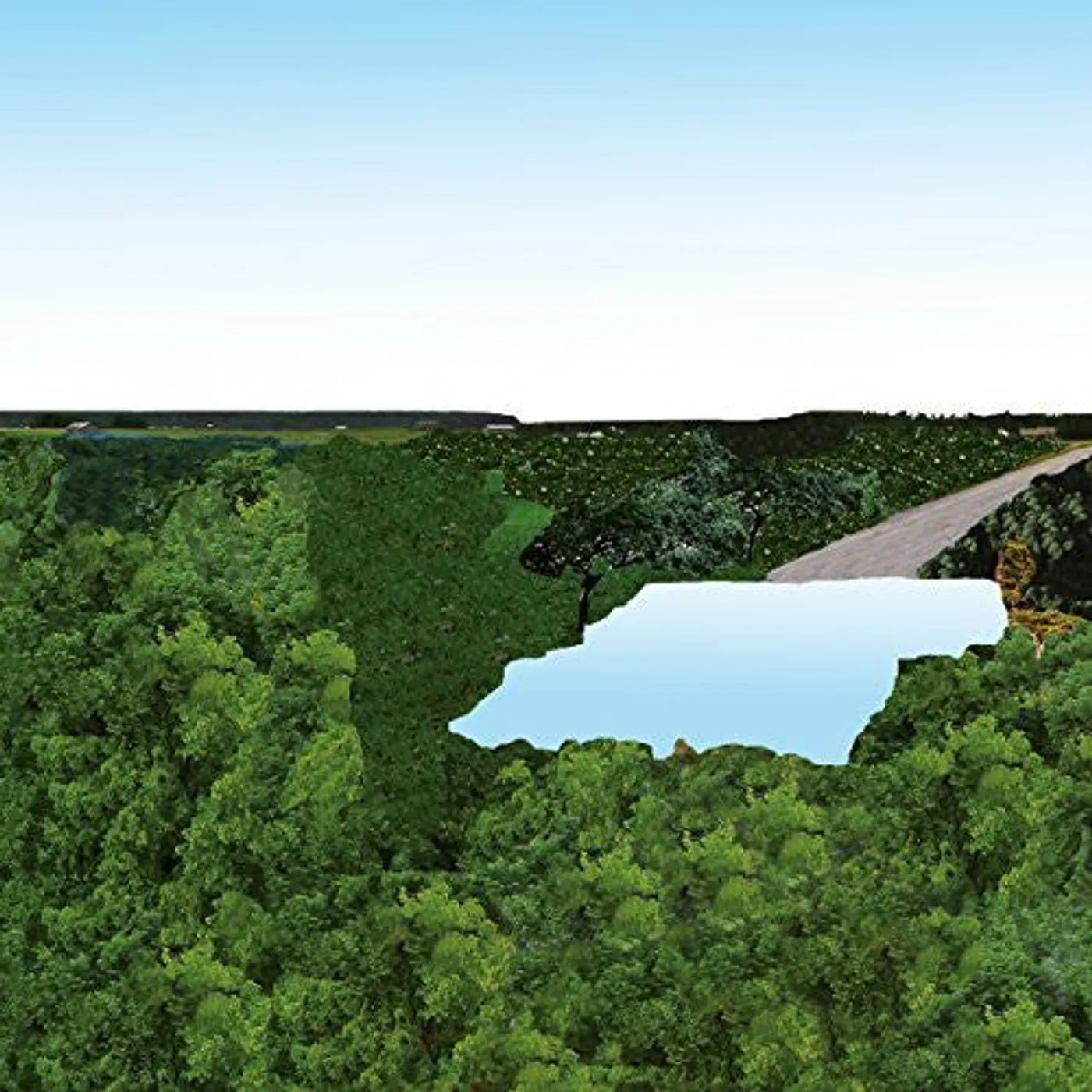 Pöllöt LP Vinyl - Pollot