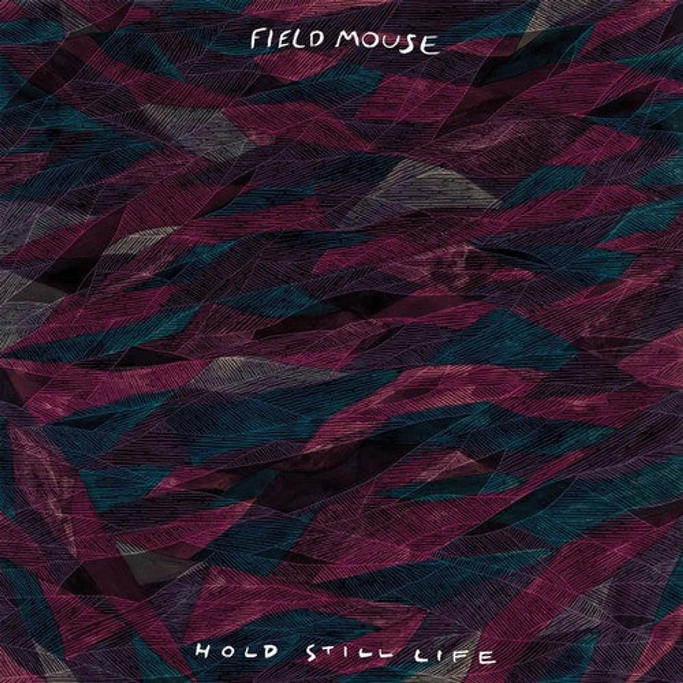 Field Mouse LP Vinyl - Hold Still Life