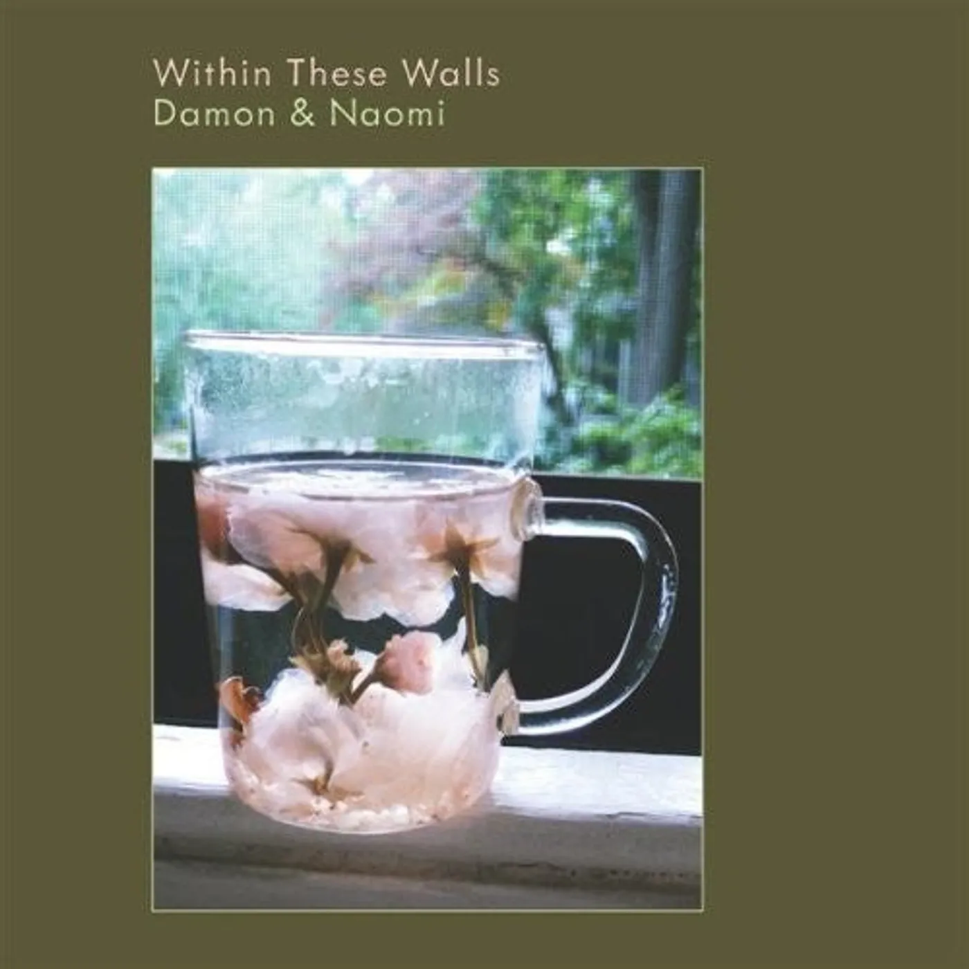 Damon & Naomi LP Vinyl - Within These Walls