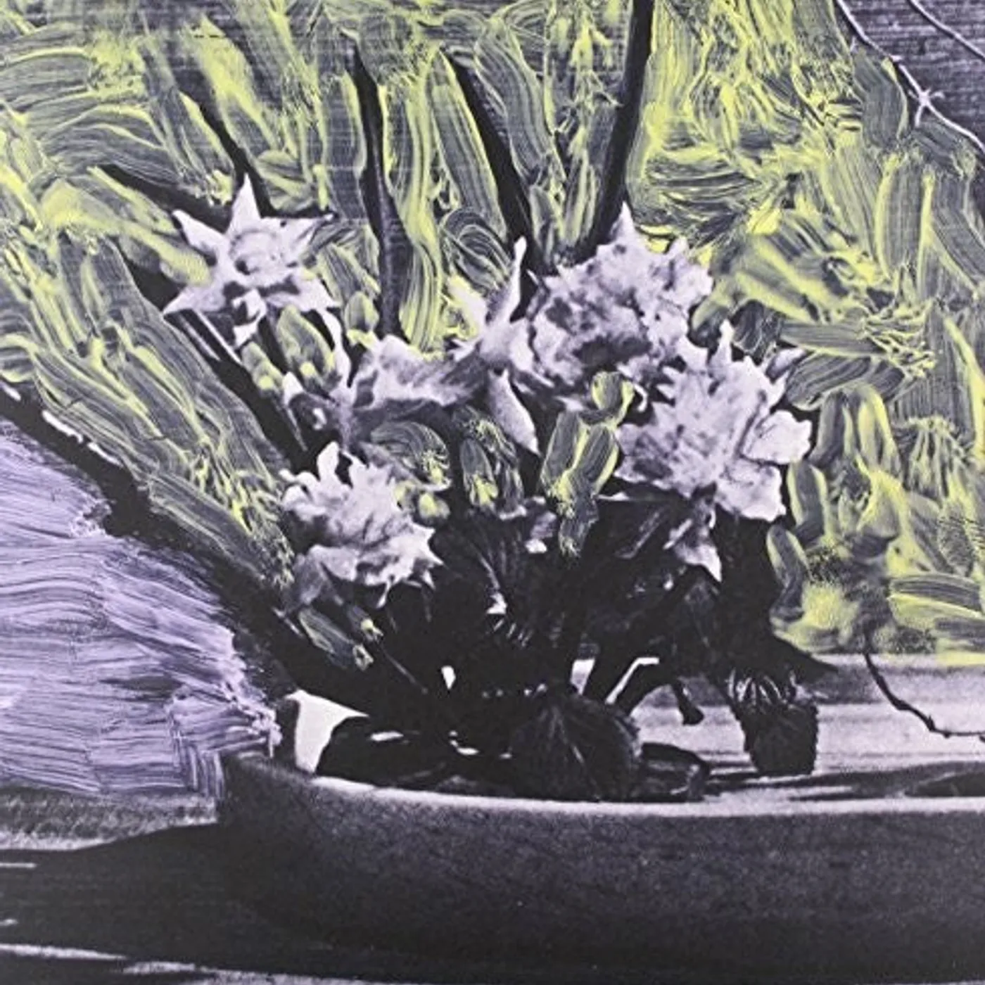 White Walls LP Vinyl - White Walls (Aus)