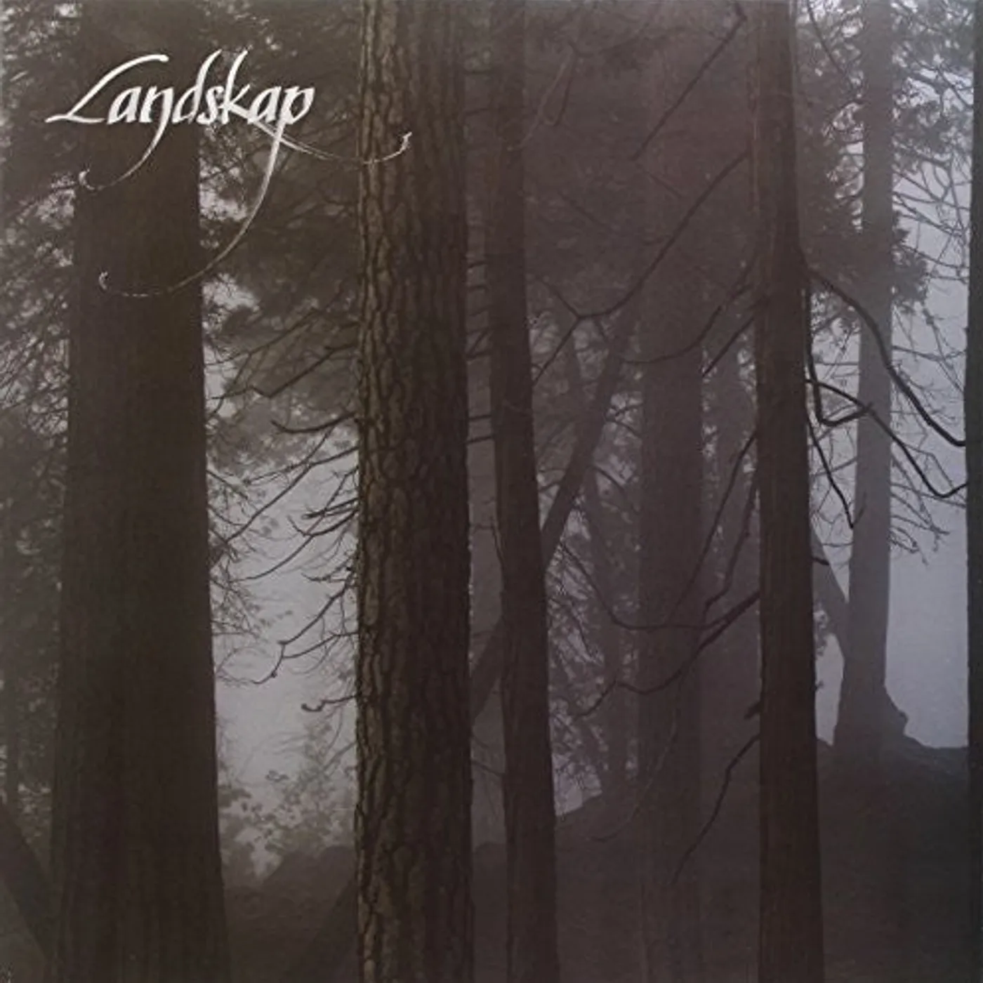Landskap LP Vinyl - Ii (Ita)
