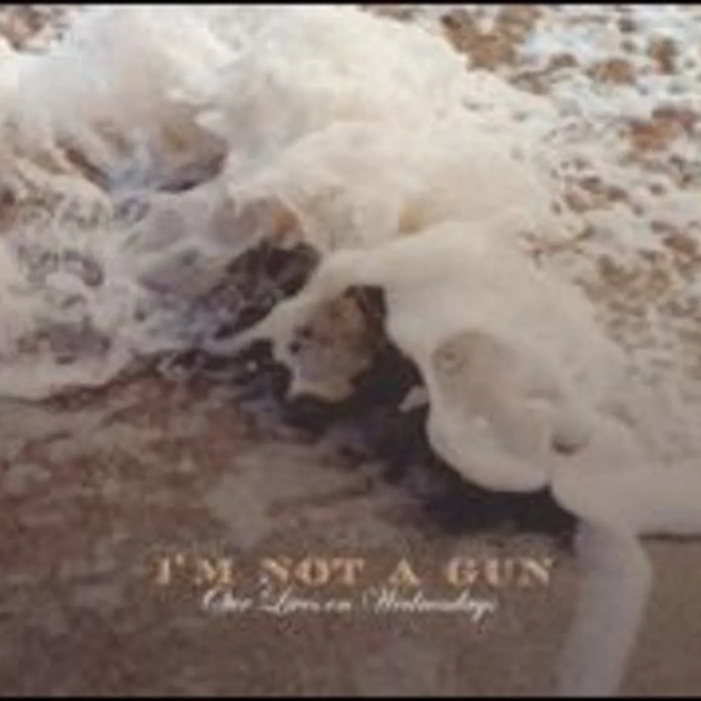 I'm Not A Gun LP Vinyl - Our Lives On Wednesdays