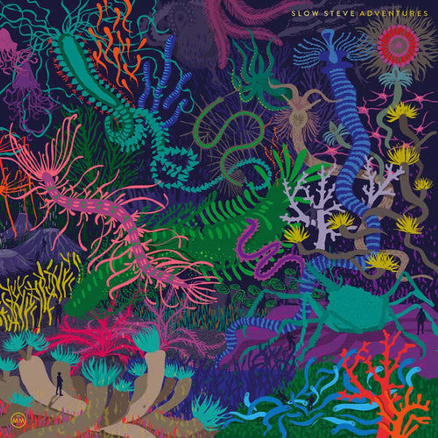 Slow Steve LP Vinyl - Adventures