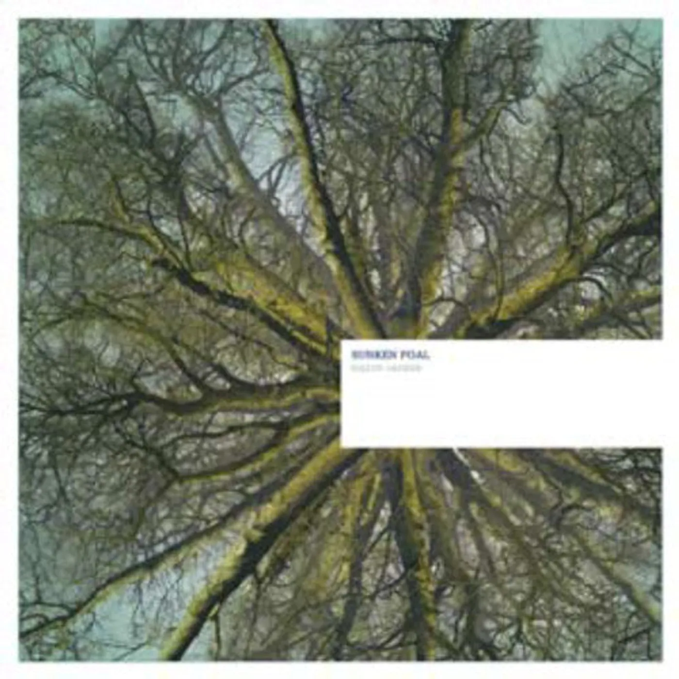 Sunken Foal LP Vinyl - Fallen Arches