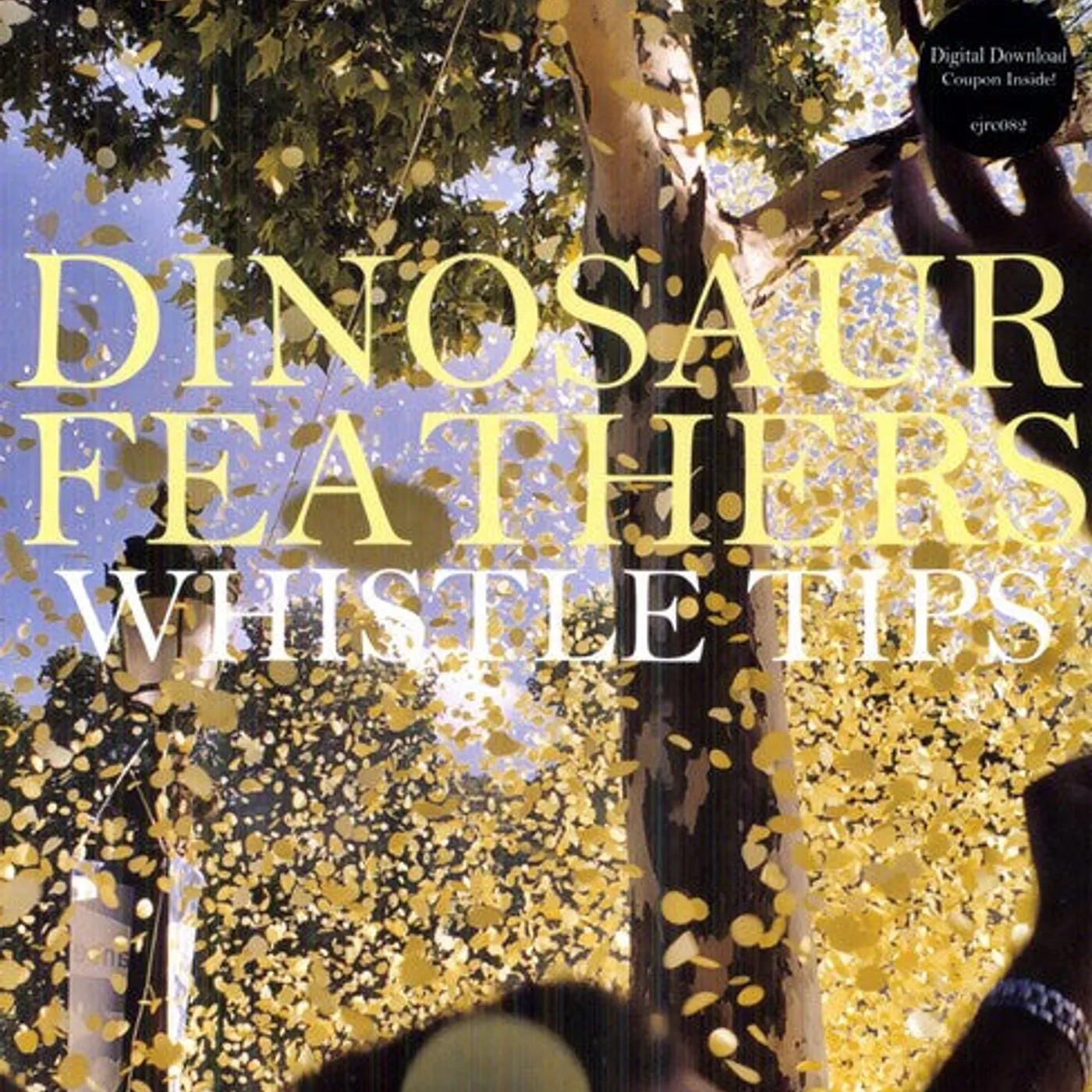 Dinosaur Feathers LP Vinyl - Whistle Tips